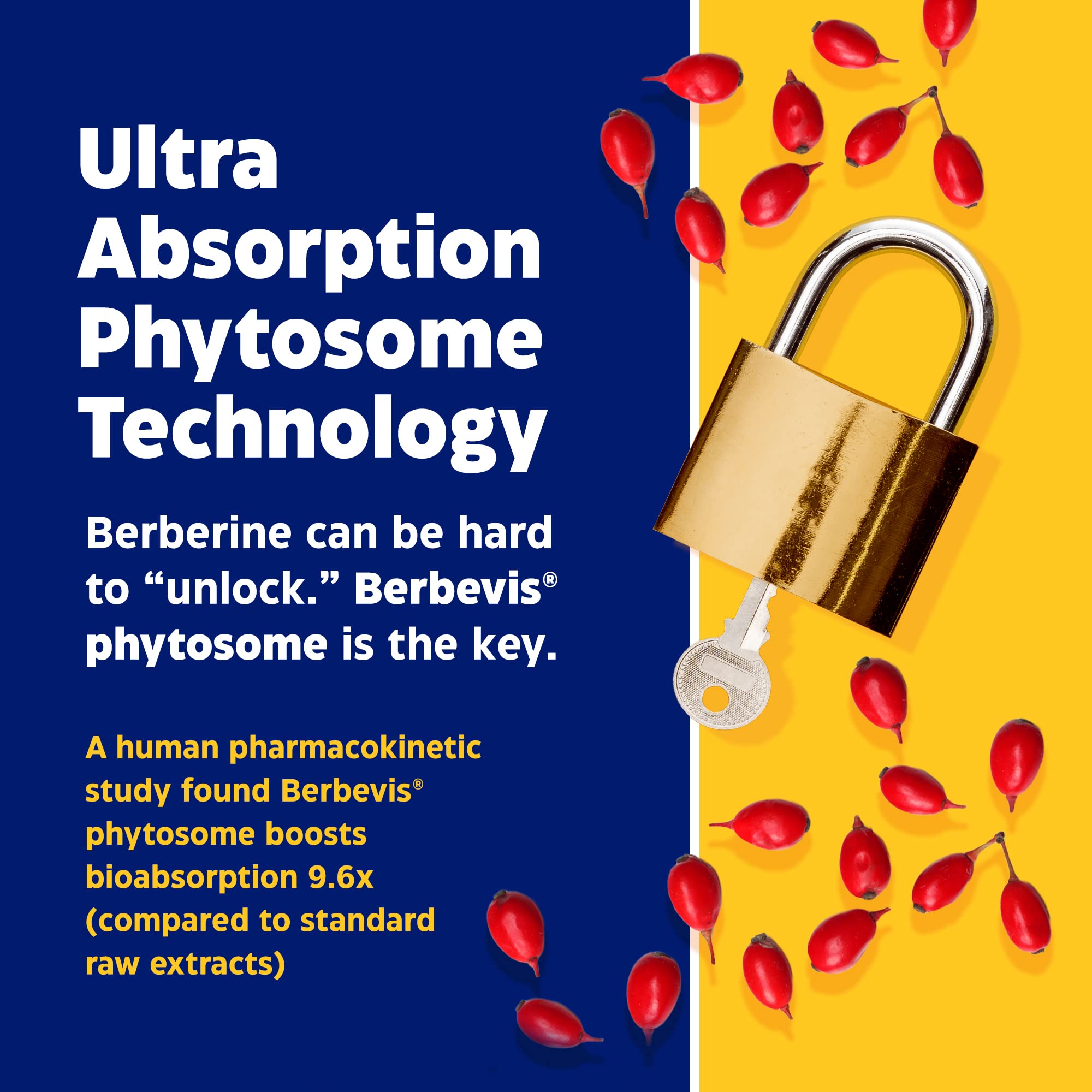 Enzymedica, Berberine Phytosome Enzymedica Au supplements