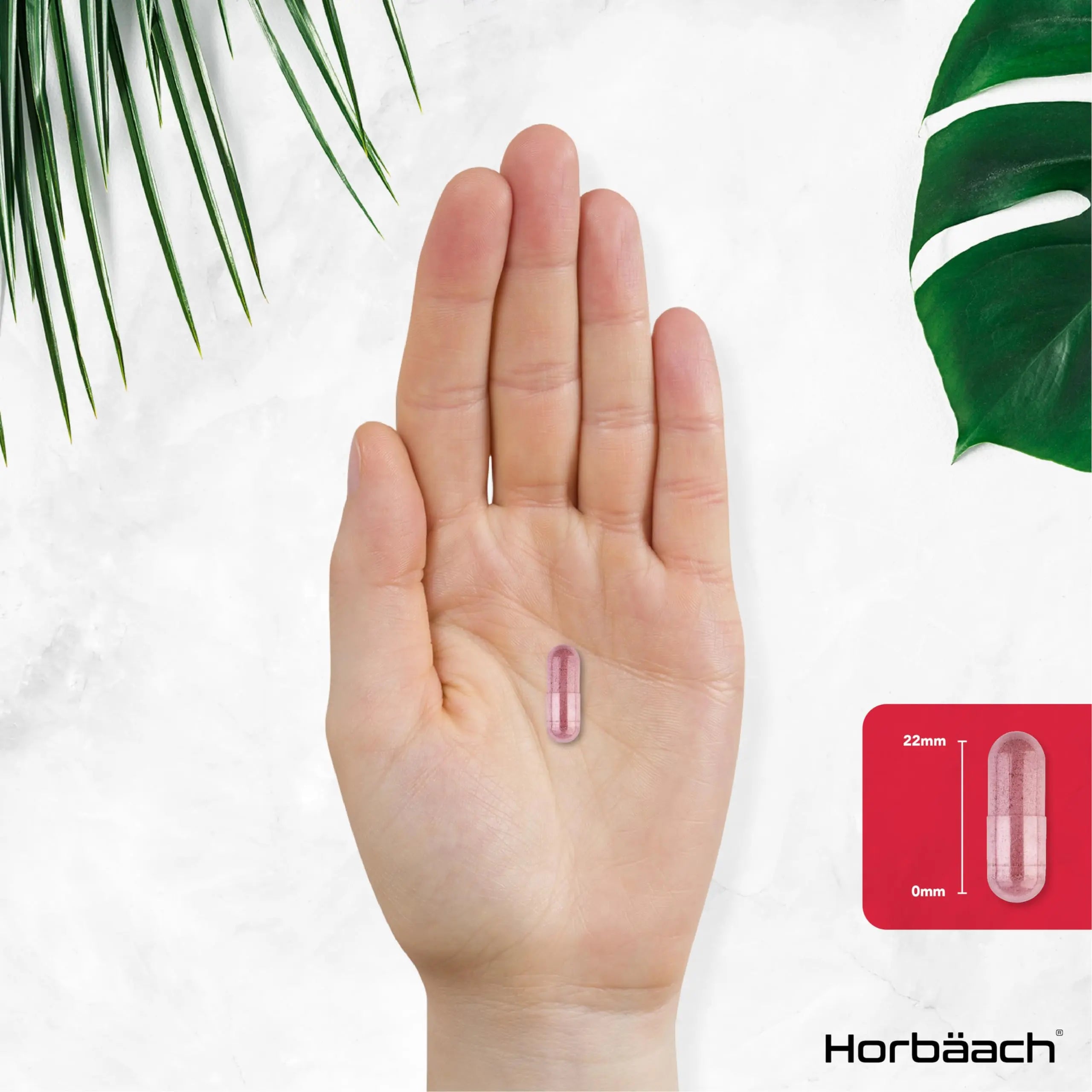 Cranberry Capsules 45,000 mg | High Strength Cranberry Extract with Vitamin C Horbäach Au supplements