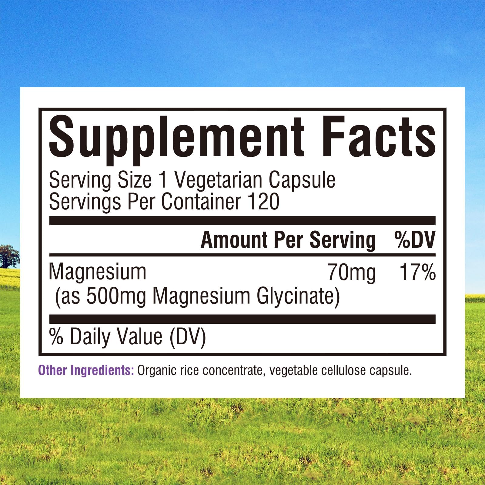 Innate Vitality Magnesium Glycinate 500mg | 70mg Elemental Magnesium Supplement - High Absorption, Non Buffered, Non-GMO & No Gluten - Vegan - Nerve Health - 120 Capsules (Pack of 1) Innate Vitality Au supplements