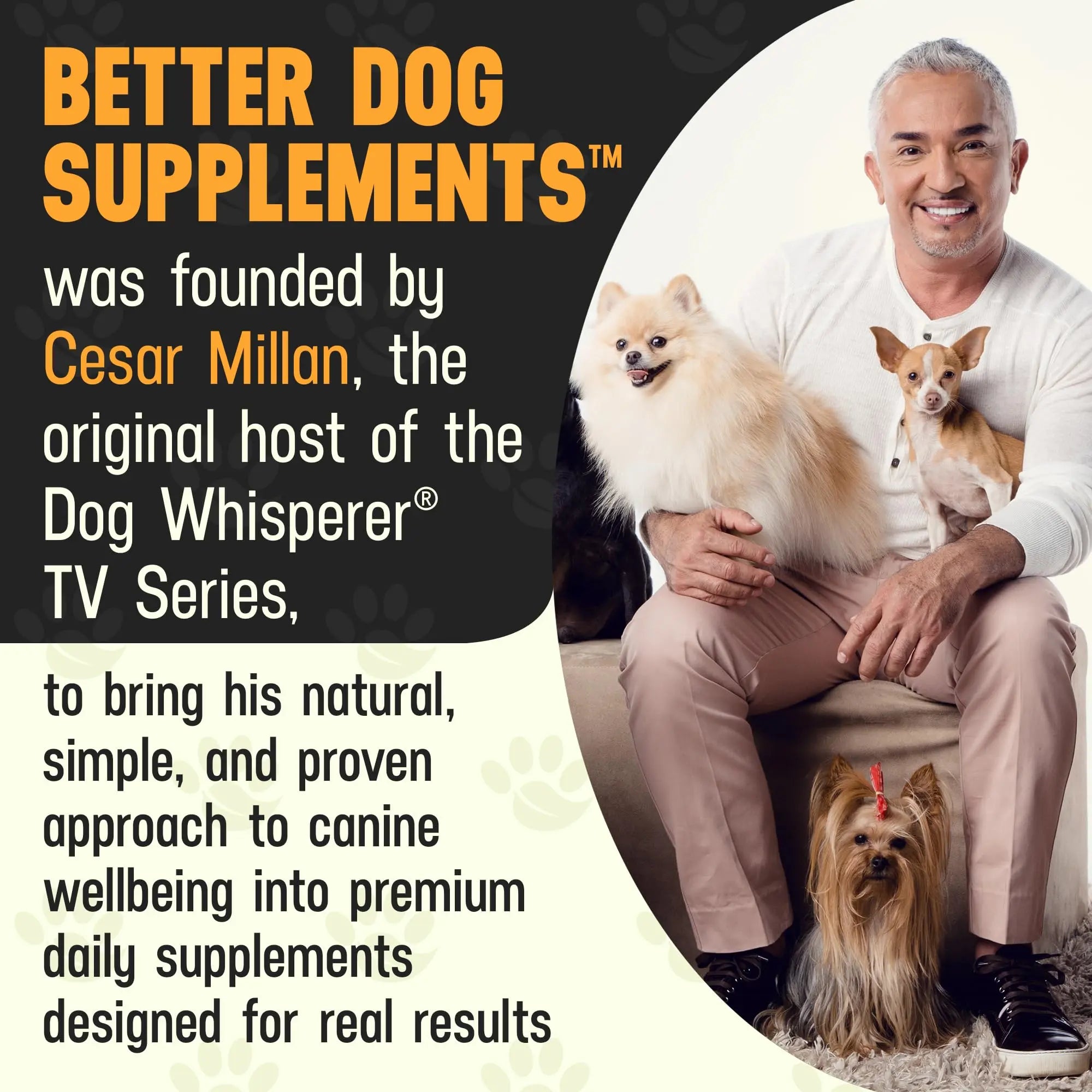 Better Dog Supplements Happy-Go-Lucky Belly by Cesar Millan - Natural Dog Digestive Support Powder – Dog Constipation Relief, Gut Balance & Regularity with Herbal Fiber for Dogs – 4oz (60-Day Supply) Better Dog Supplements By Cesar Millan Au supplements