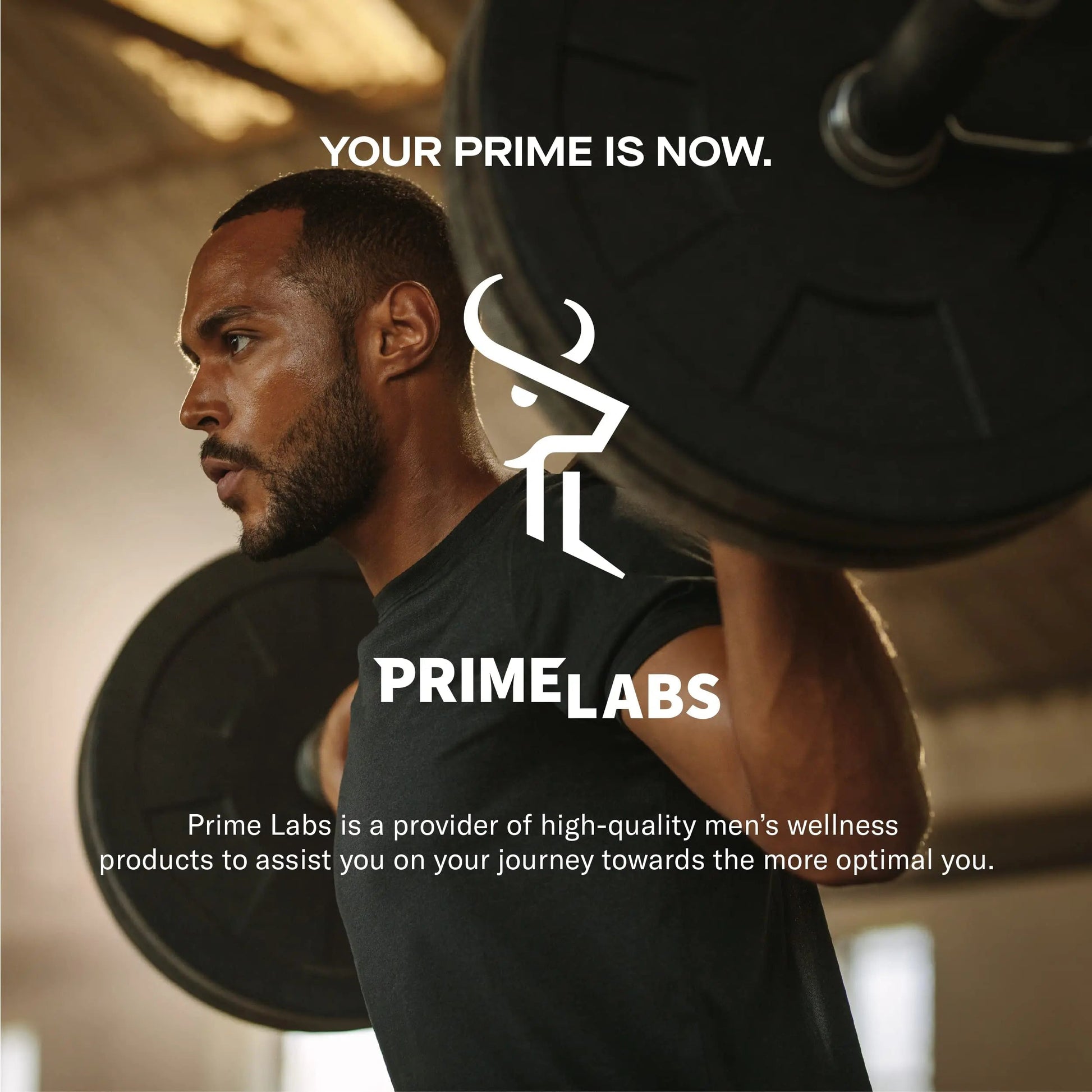 Prime Labs Night Duty - Nighttime Testosterone Booster & Sleep Support - PM Rest & Muscle Recovery Supplements - 60 Count Prime Labs Au supplements