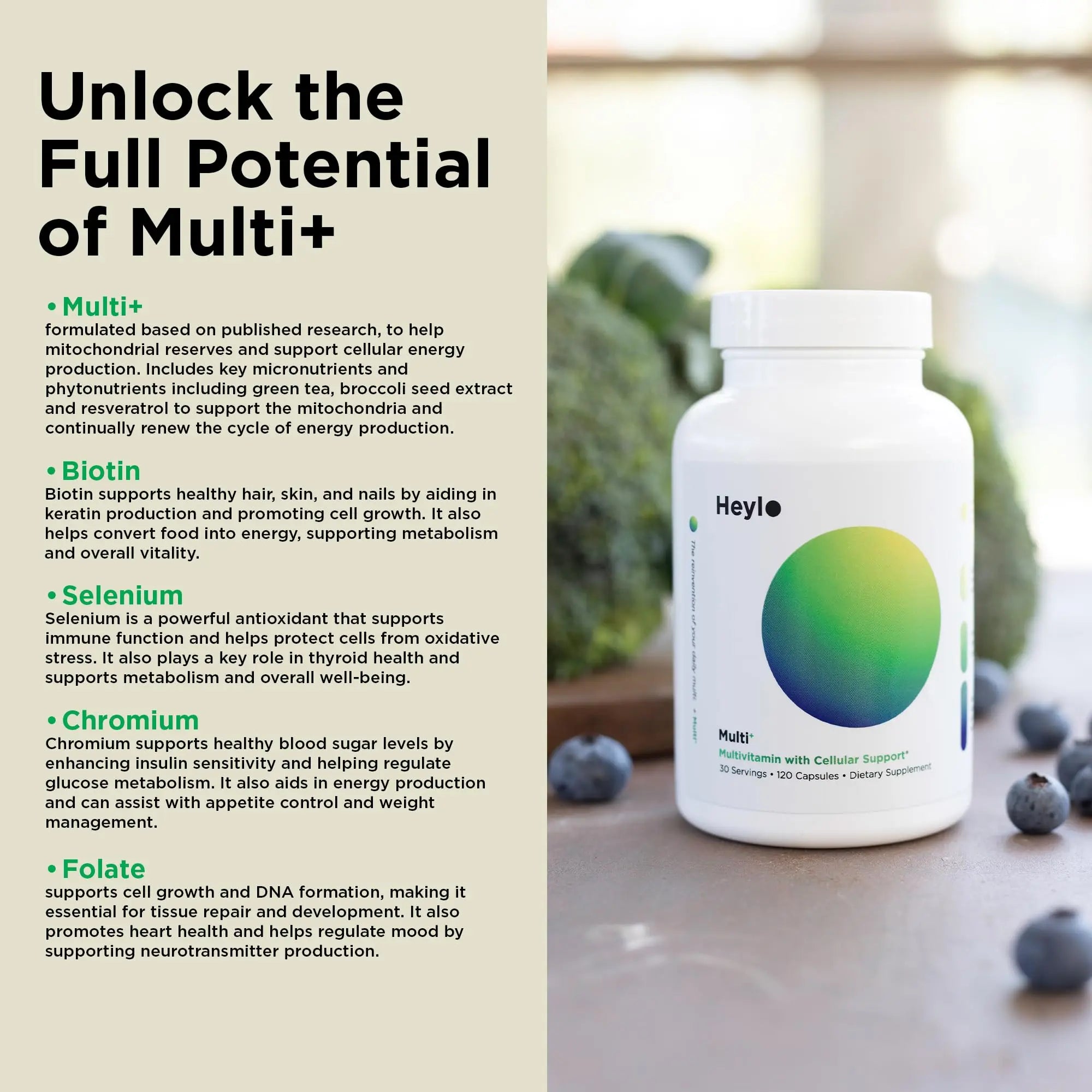 Heylo Multi+ Advanced Multivitamin Supplement – Boosts Energy, Enhances Immune Support, Provides Antioxidant Protection, Promotes Detoxification Heylo Health Au supplements