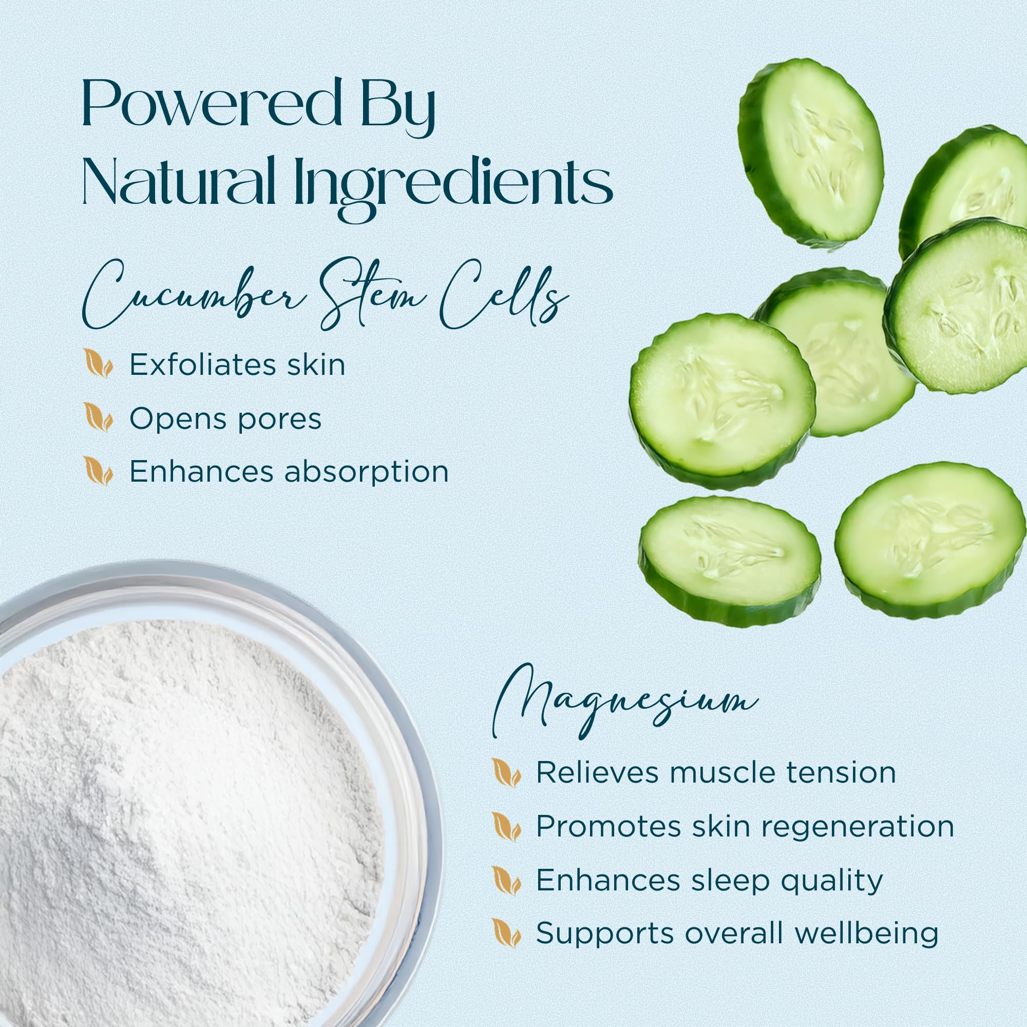 Abundant Natural Health MAG I.C. Magnesium Gel with Cucumber Stem Cells - Fast Muscle Relief, Soothing, Stingless, Safe for Sensitive Skin, Fragrance-Free, 200mL Abundant Natural Health Au supplements