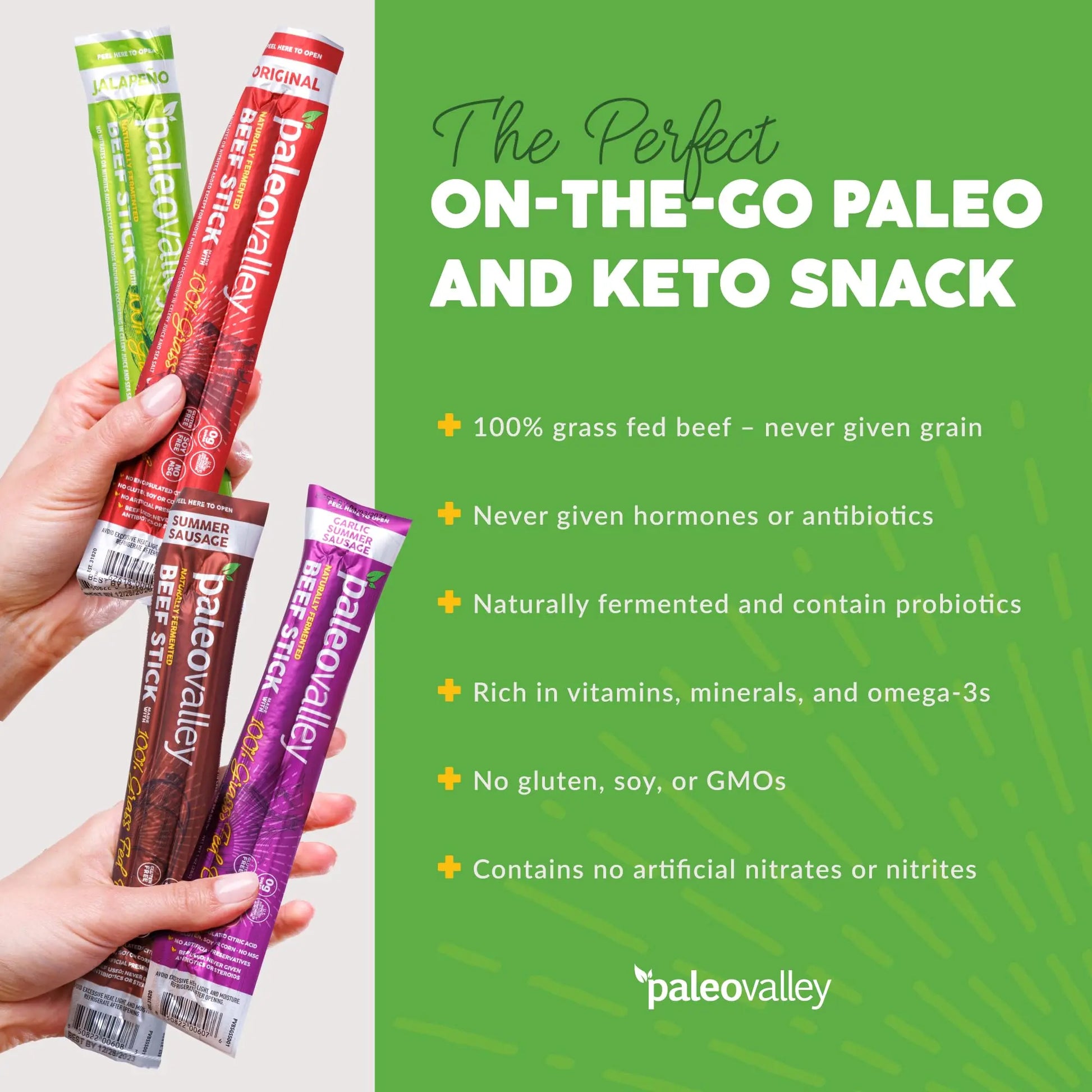 Paleovalley 100% Grass Fed Beef Sticks - Delicious Gluten Free Beef Snack - High Protein Keto Friendly, 40 Count Variety Pack Paleovalley Au supplements