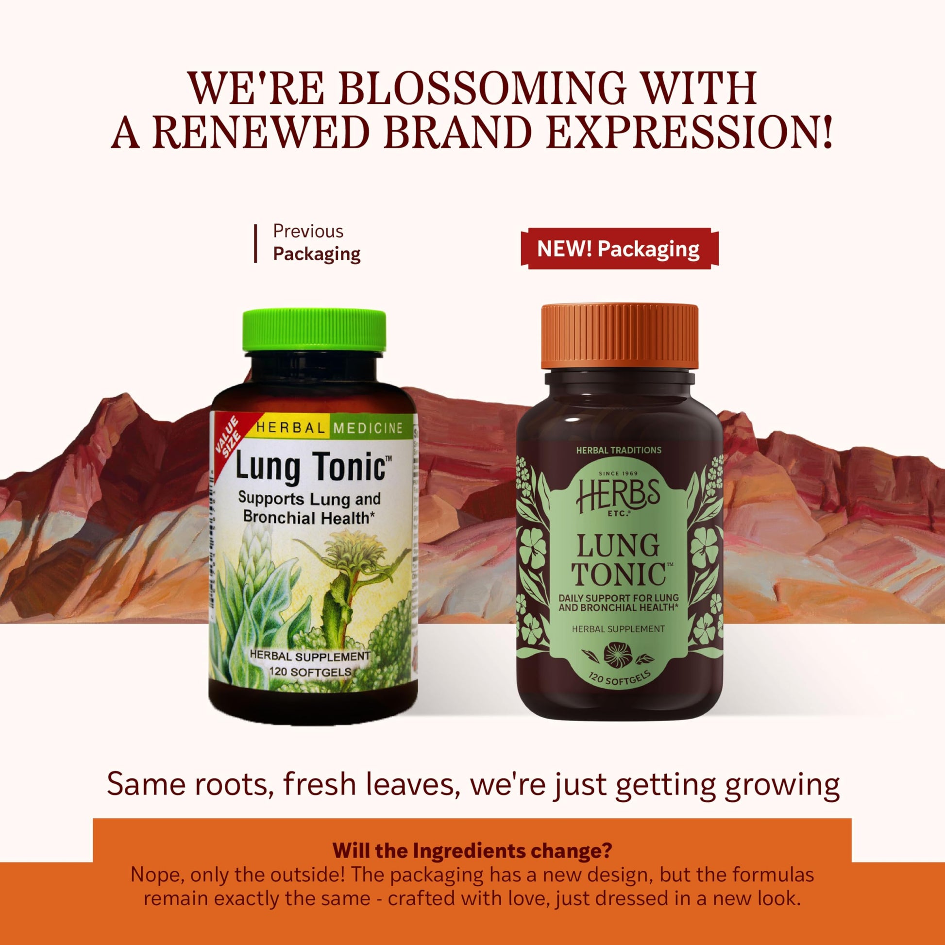 Herbs Etc. Lung Tonic - Lung Supplement for Bronchial Support - Healthy Breathing Support with Mullein, Horehound & Grindelia - 120 Softgels Herbs Etc. Au supplements
