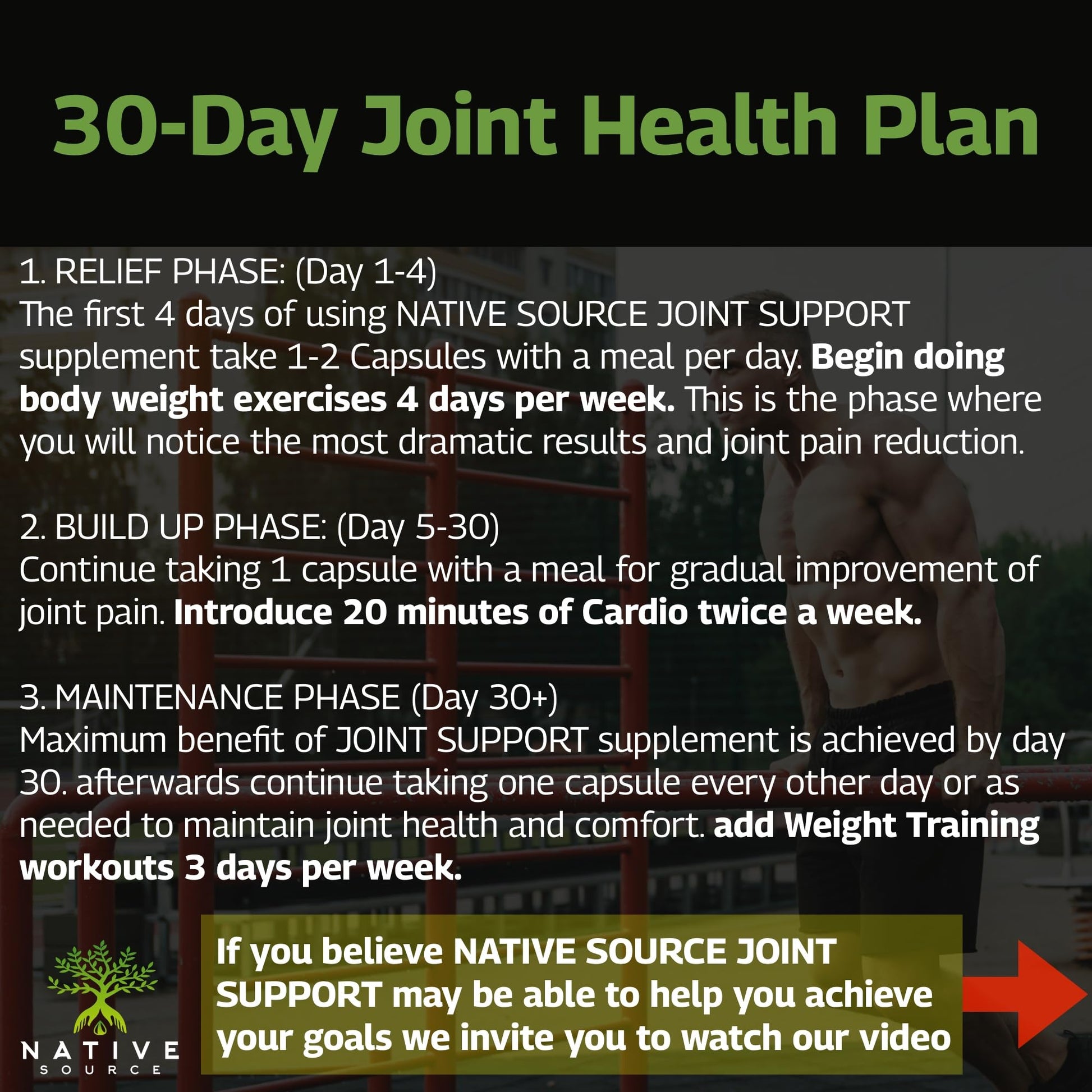 Native Source Joint Support Supplement - Turmeric - Tamarind - Boswellia - Fenugreek Native Source Au supplements