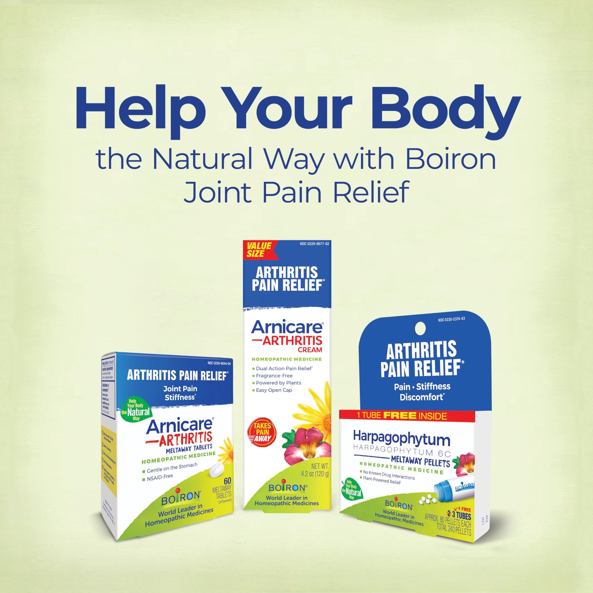 Boiron Arnicare Arthritis Cream for Pain Relief of Knees, Hands, Wrists, Elbows, Joints & Muscles – Quickly Absorbed & Fragrance-Free – 5 oz (2 Pack of 2.5 oz) Boiron Au supplements
