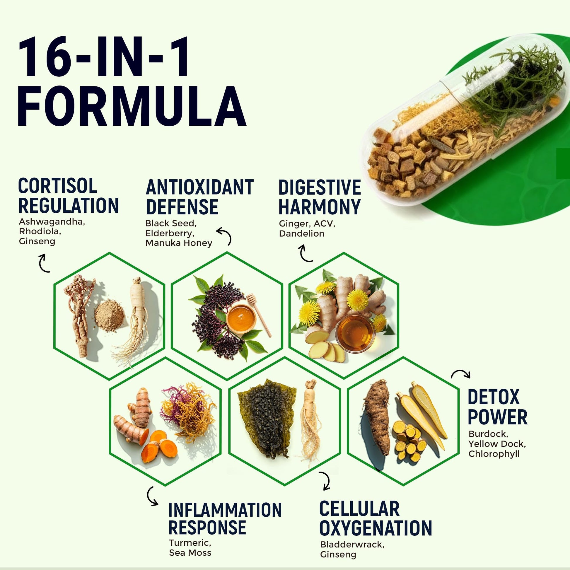 Sea Moss Black Seed Oil Ashwagandha Ginger - Advanced Irish Sea Moss Capsules All in One Supplement with Seamoss Black Seed Oil Ashwagandha Burdock Root Bladderwrack - Pills for Energy, Immune, Gut Opti Health Au supplements