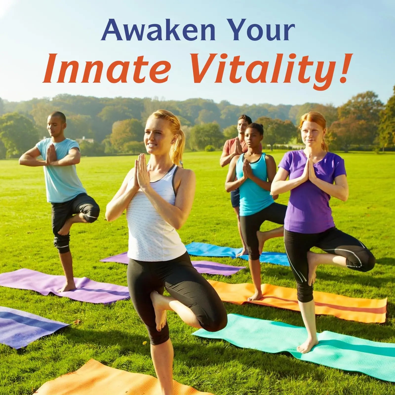Innate Vitality 10-in-1 Magnesium Complex 960mg, 420mg Elemental Mag per Serving, with Magnesium Glycinate, Citrate, Malate, and More, Sleep, Digestion, Energy Support, 90 Vegan Caps Innate Vitality Au supplements