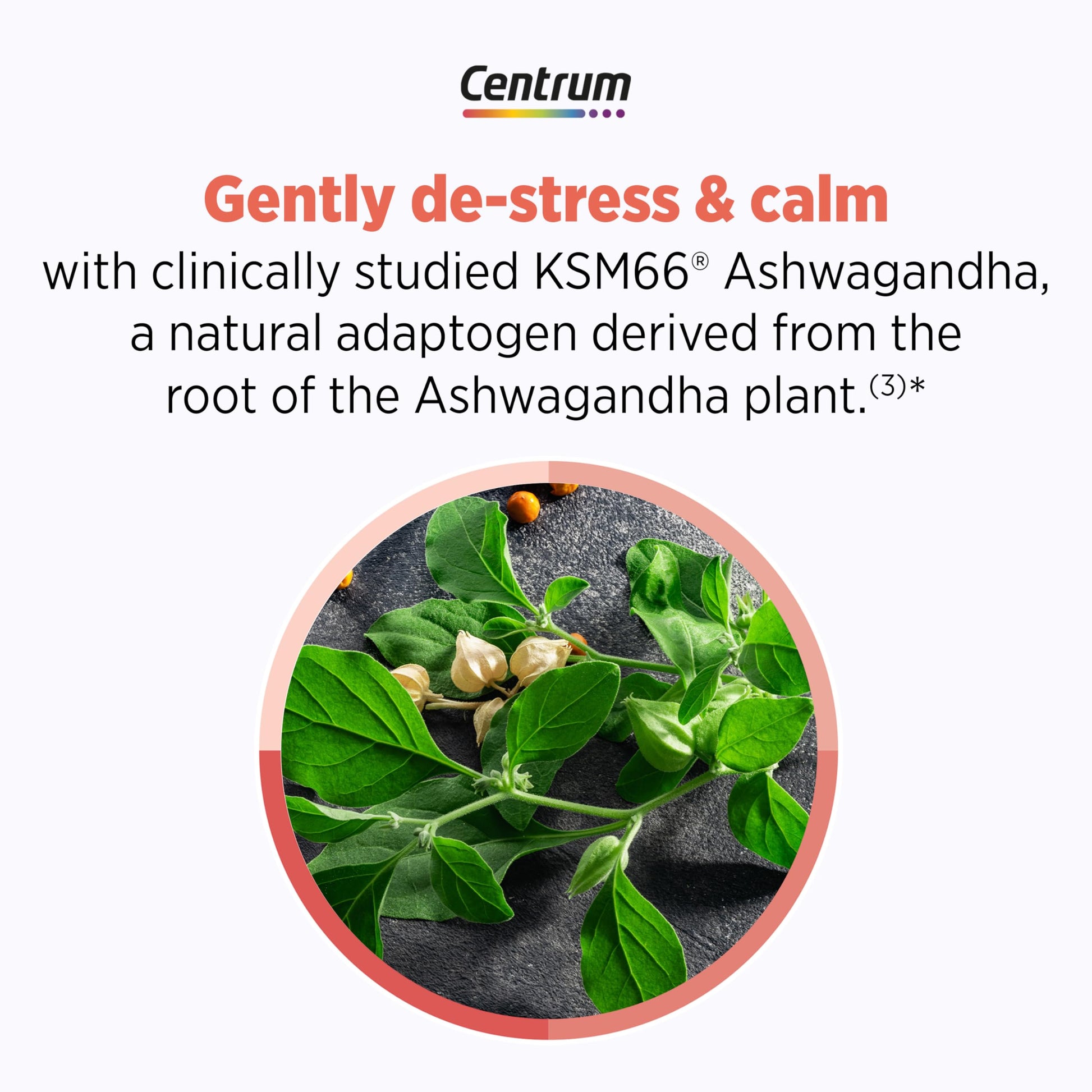 Centrum Clear Mind and Calm Mood Menopause Support Tablets, with Clinically Studied enXtra, 30 Count Centrum Au supplements