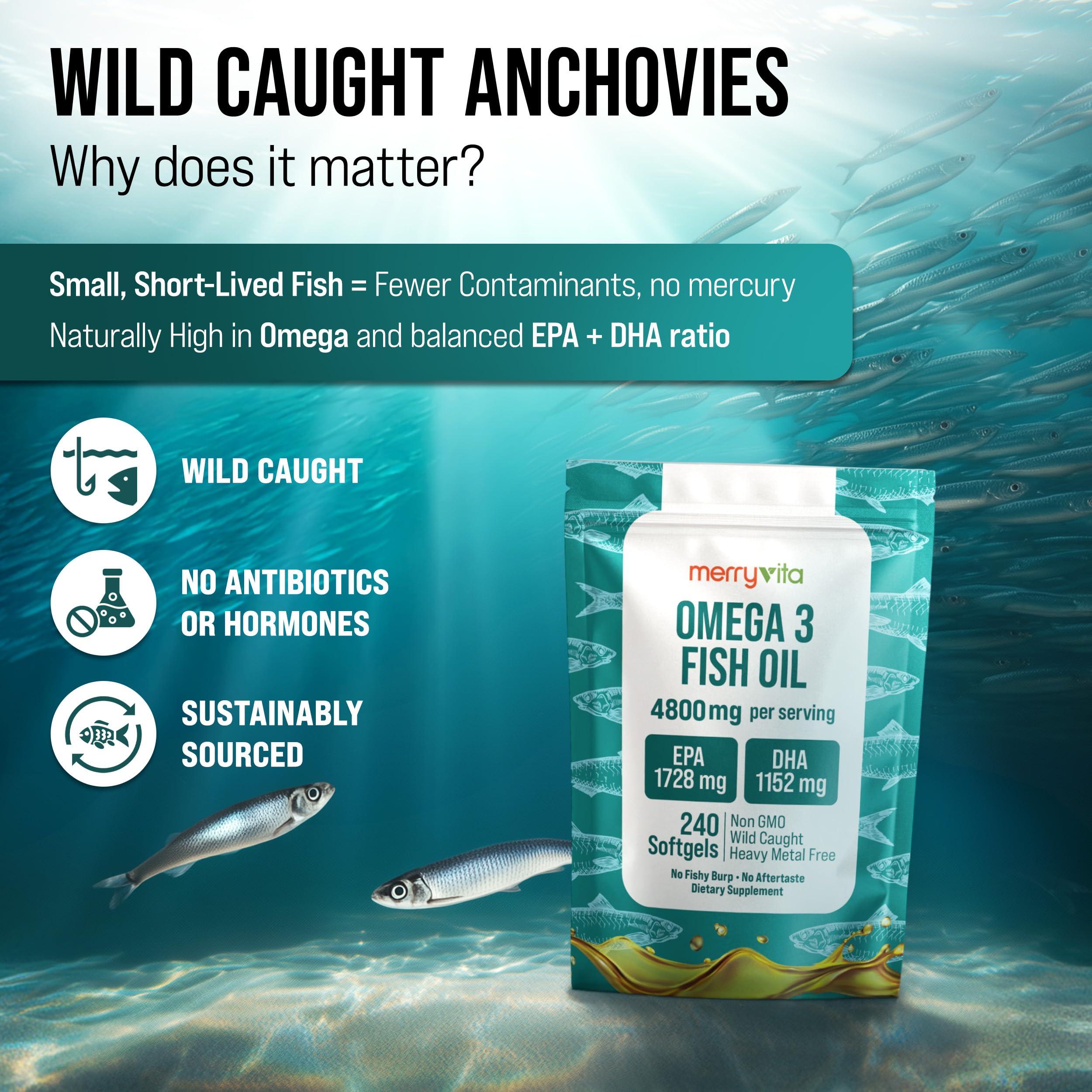 Omega 3 Fish Oil 4800 mg – EPA 1728 mg | DHA 1152 mg from Wild-Caught Anchovies – Burpless Mini Softgels – Pure Omega-3 Fatty Acid Supplement – Non-GMO, Gluten-Free, No Aftertaste – 240 Capsules MERRY VITA Au supplements