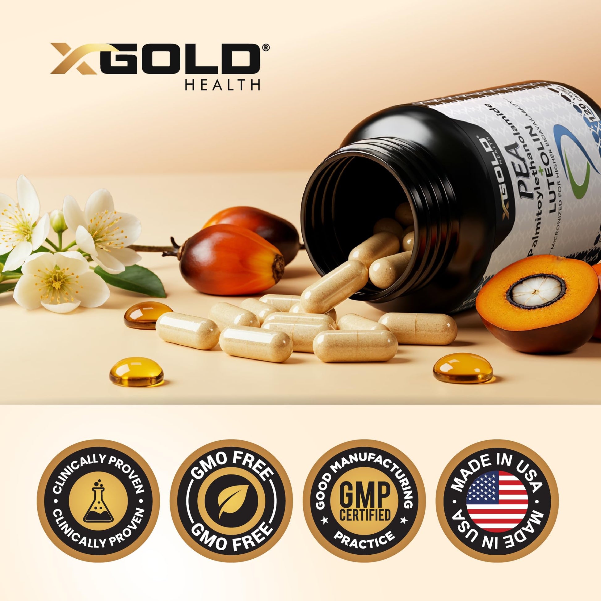Palmitoylethanolamide 630 mg + Luteolin Standardized 98%- Micronized Pea 99% Highly Purified and Bioavailable - Made in USA - Supplement for Men and Women - 120 Veggie Capsules X Gold Health Au supplements