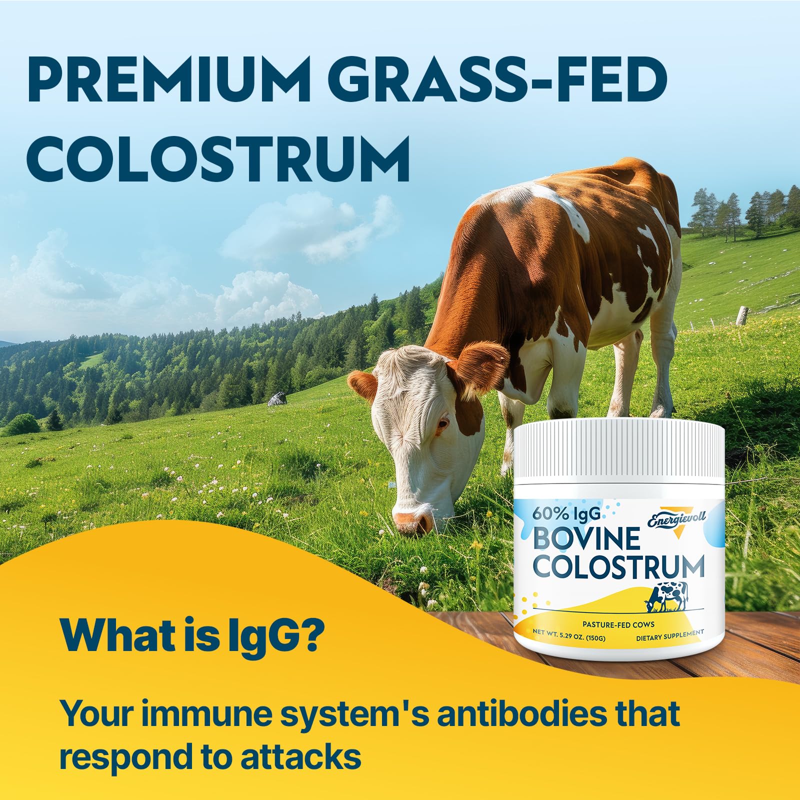 Energievoll Bovine Colostrum Supplement Powder - 60% IgG 3000 mg for Gut, Hair Growth, Beauty, and Immune, Easy to Mix, Unflavored (50 Servings) Energievoll Au supplements
