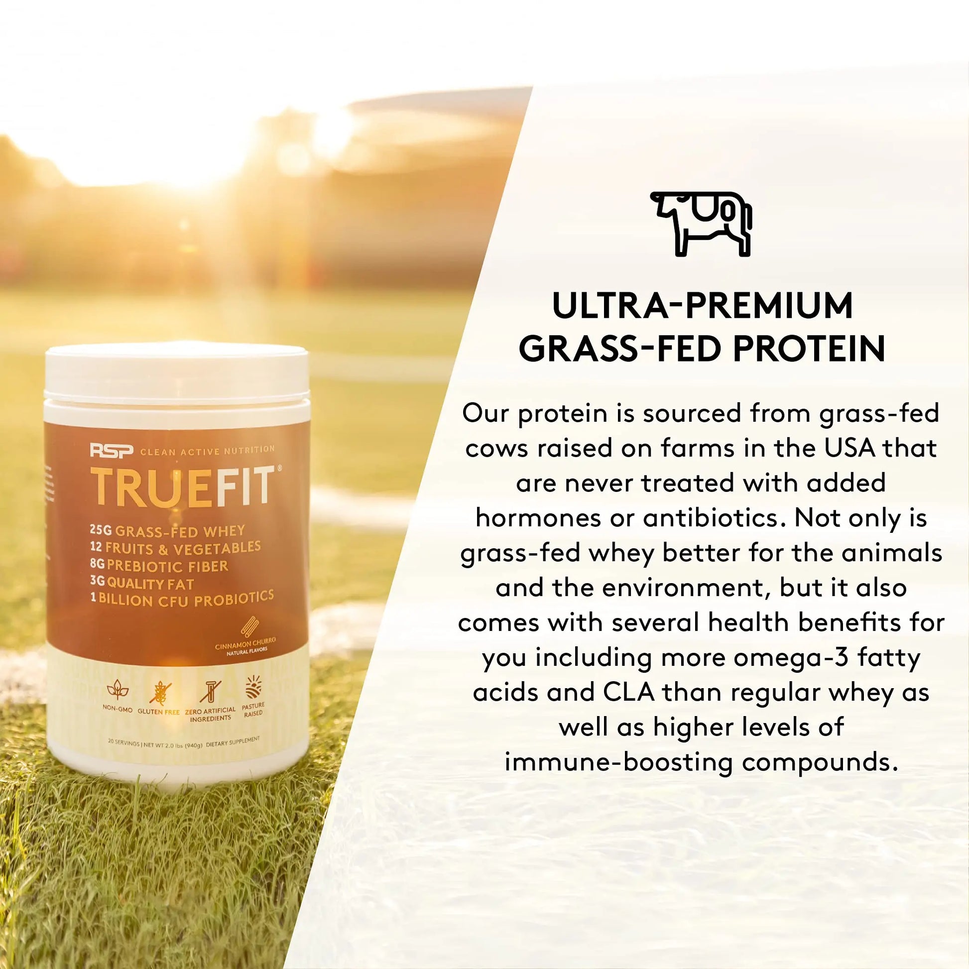 TrueFit Meal Replacement Shake Protein Powder, Grass Fed Whey + Organic Fruits RSP NUTRITION Au supplements