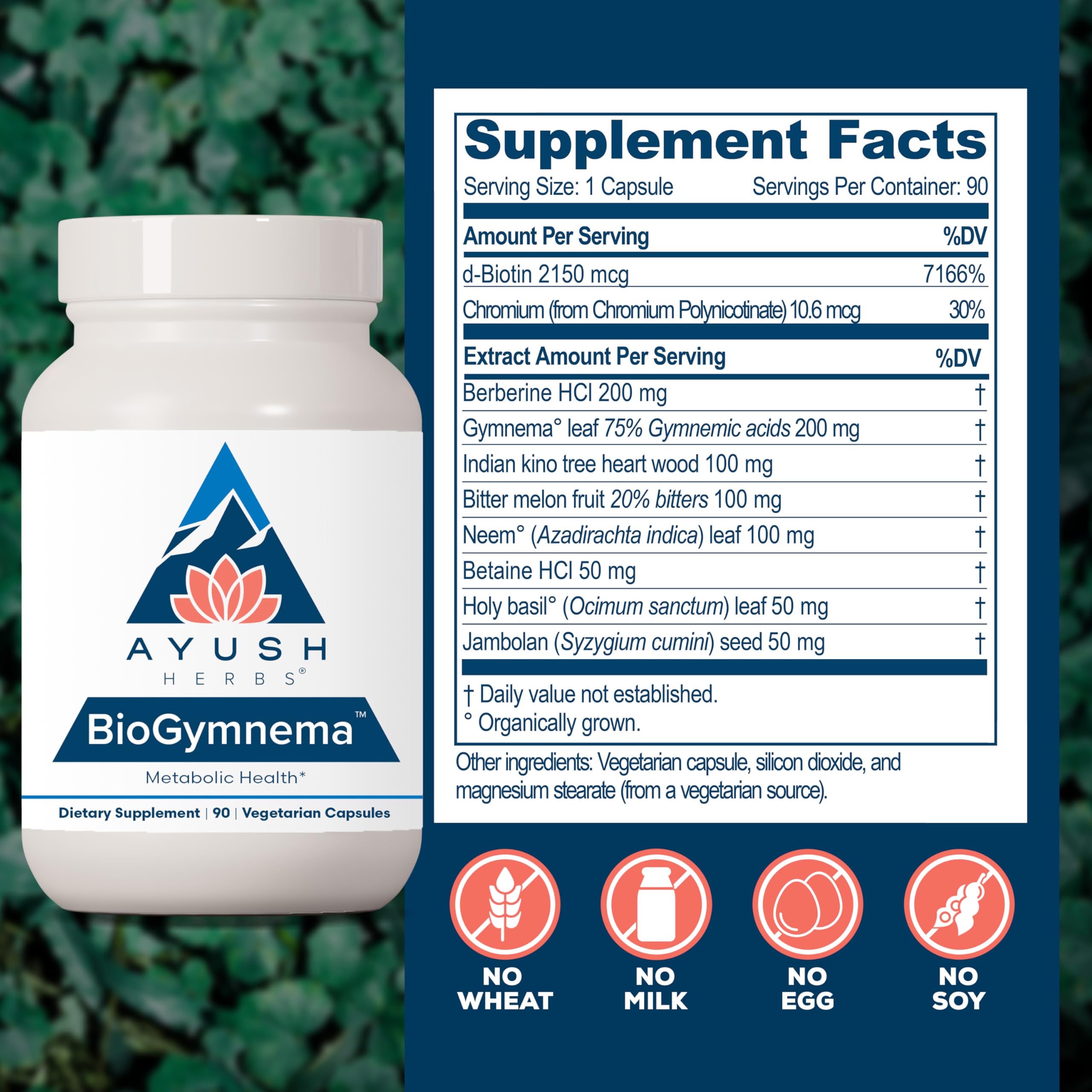 Ayush Herbs BioGymnema - Metabolic Vitamin & Herb Blend, Metabolic Health Supplement for Women & Men with Biotin, Berberine, Bitter Melon & Gymnema, Nutrient Support - 90 Servings Ayush Herbs Au supplements