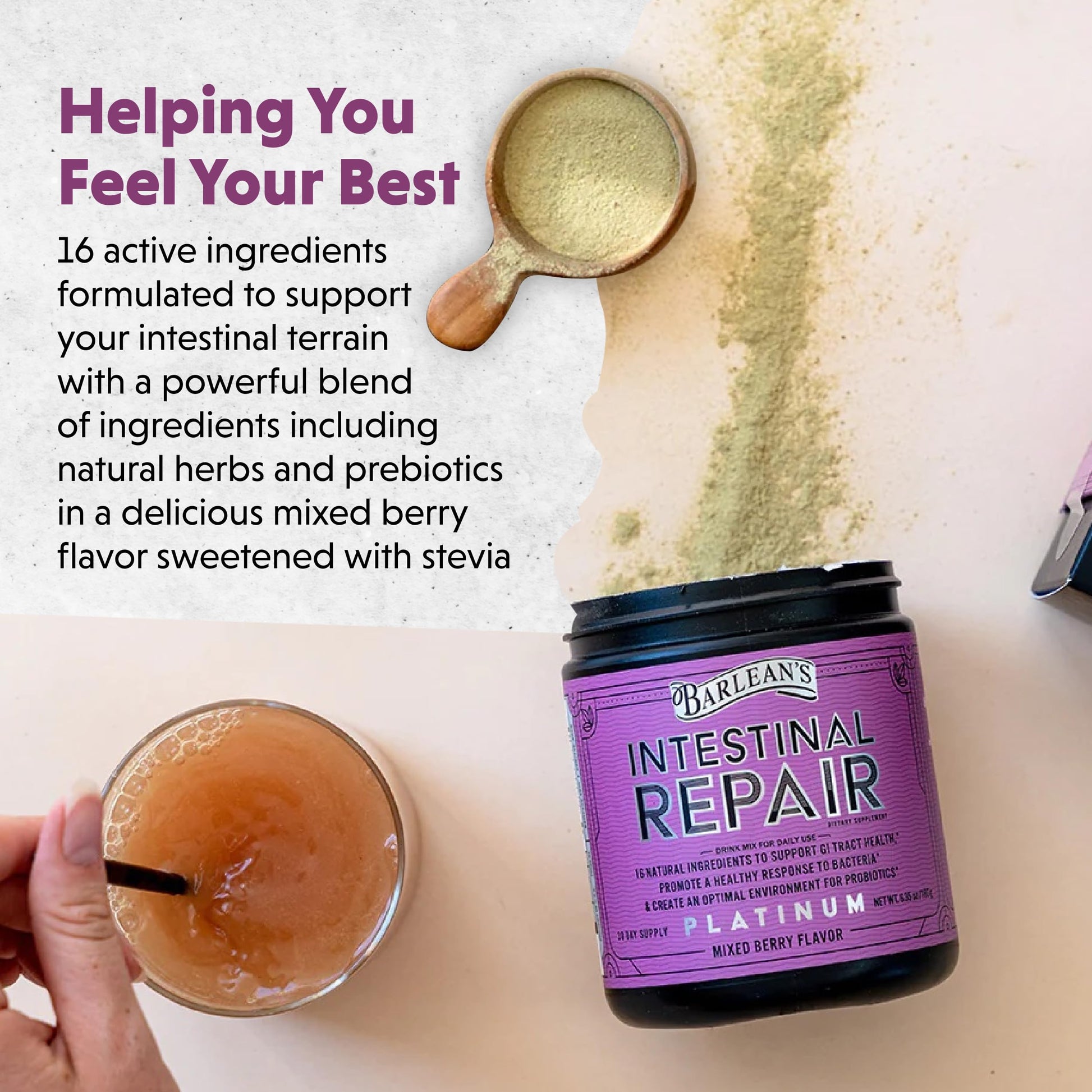 Barlean's Gut Health Powder, Intestinal Repair Fiber and Digestive Support Blend for Men and Women, Mixed Berry Drink Mix, 6.35 oz Barlean's Au supplements