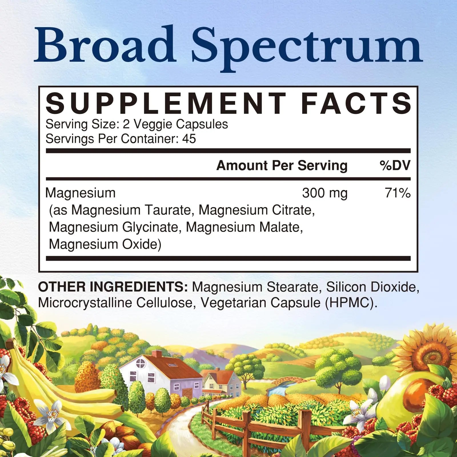 Vitalitown Magnesium Complex Supplement | 300mg Elemental Mag | Magnesium Citrate Glycinate Taurate Malate | Non-GMO, No Gluten, 90 Vegan Magnesio Capsules for Bone Brain Heart Vitalitown Au supplements