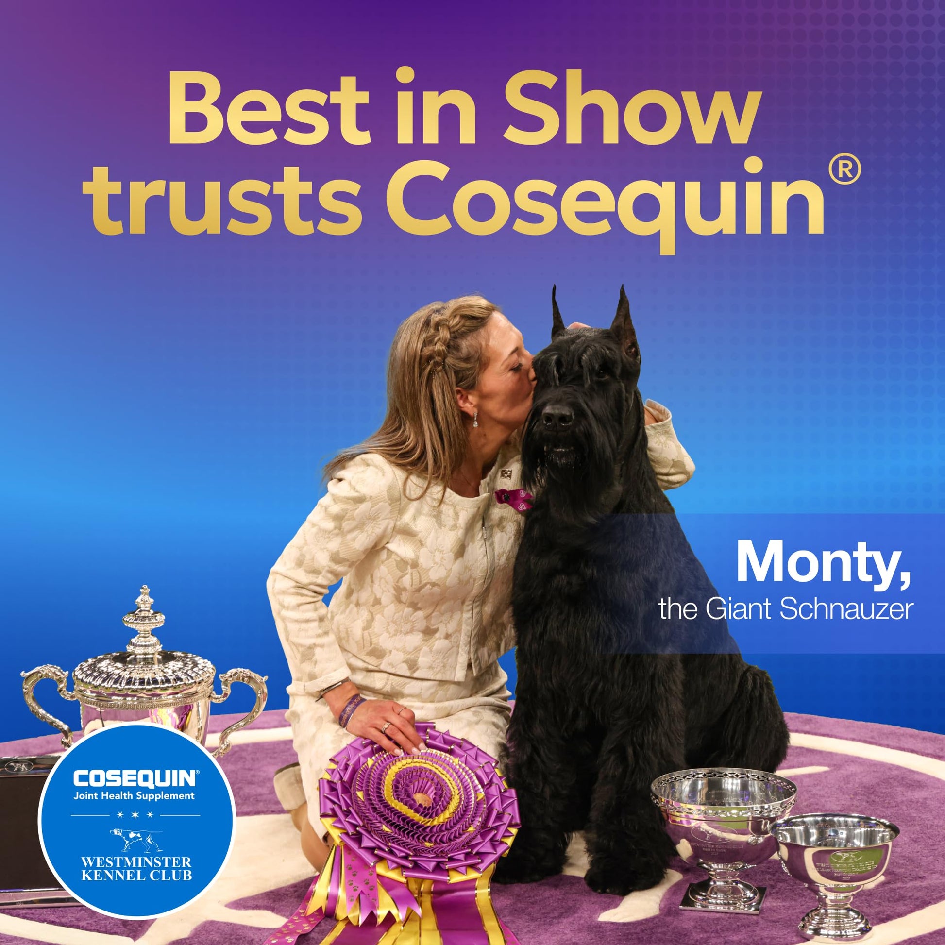 Nutramax Laboratories Cosequin Maximum Strength Joint Health Supplement for Dogs - With Glucosamine, Chondroitin, and MSM, 2 Pack, 264 Total Chewable Tablets Nutramax Laboratories Au supplements