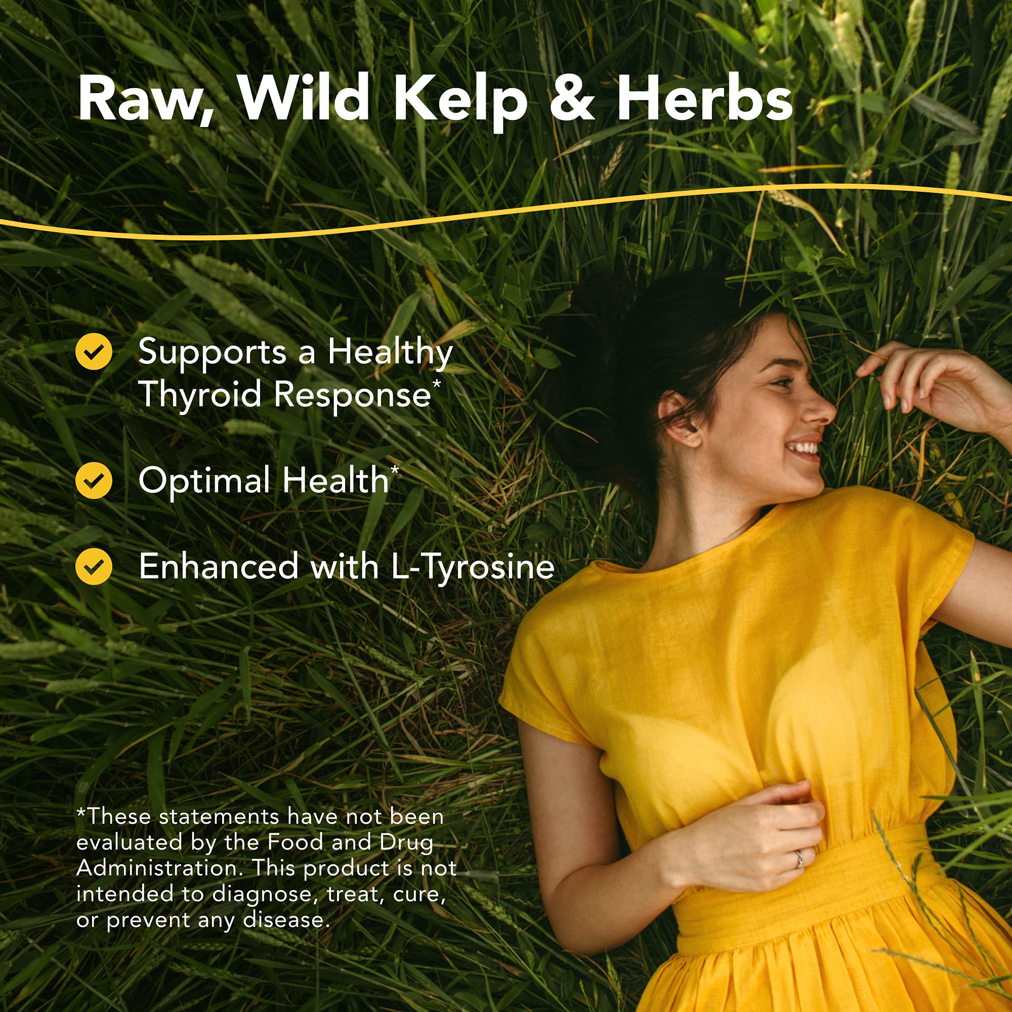 NORTH AMERICAN HERB & SPICE Thyroset - 90 Capsules - Wild Kelp & Herbs Blend - Healthy Thyroid Support - Contains Trace Minerals, Natural Iodine, Antioxidants & Amino Acids - 45 Servings NORTH AMERICAN HERB & SPICE Au supplements