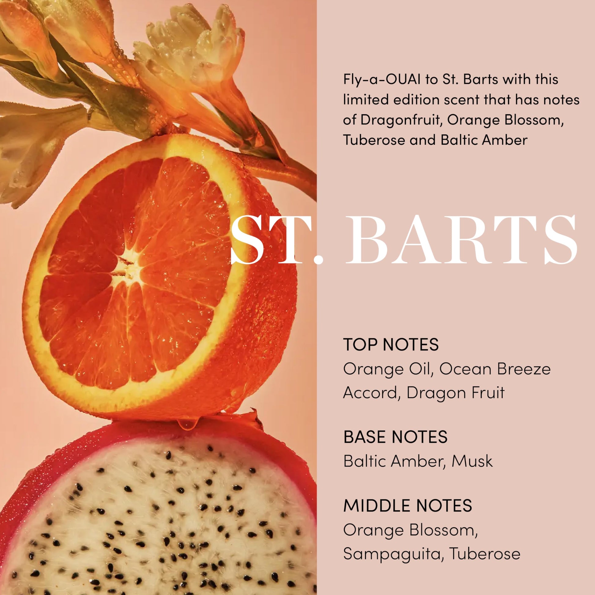 OUAI Body Cream, St. Barts - Hydrating Whipped Body Cream with Cupuaçu Butter, Coconut Oil and Squalane - Softens Skin and Delivers Healthy-Looking Glow - Sulfate-Free Skin Care (7.5 Oz) OUAI Au supplements