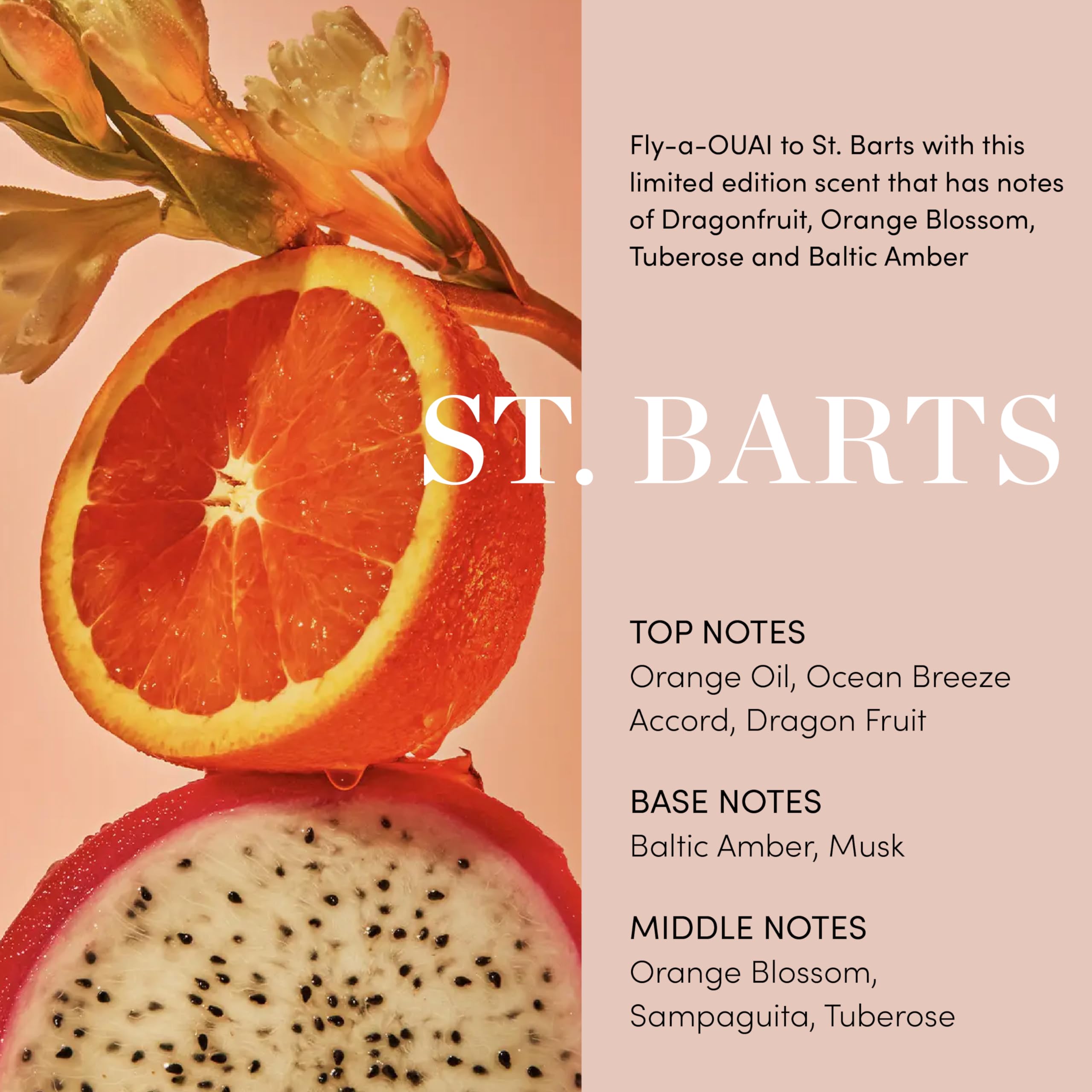 OUAI Body Cream, St. Barts - Hydrating Whipped Body Cream with Cupuaçu Butter, Coconut Oil and Squalane - Softens Skin and Delivers Healthy-Looking Glow - Sulfate-Free Skin Care (7.5 Oz) OUAI Au supplements