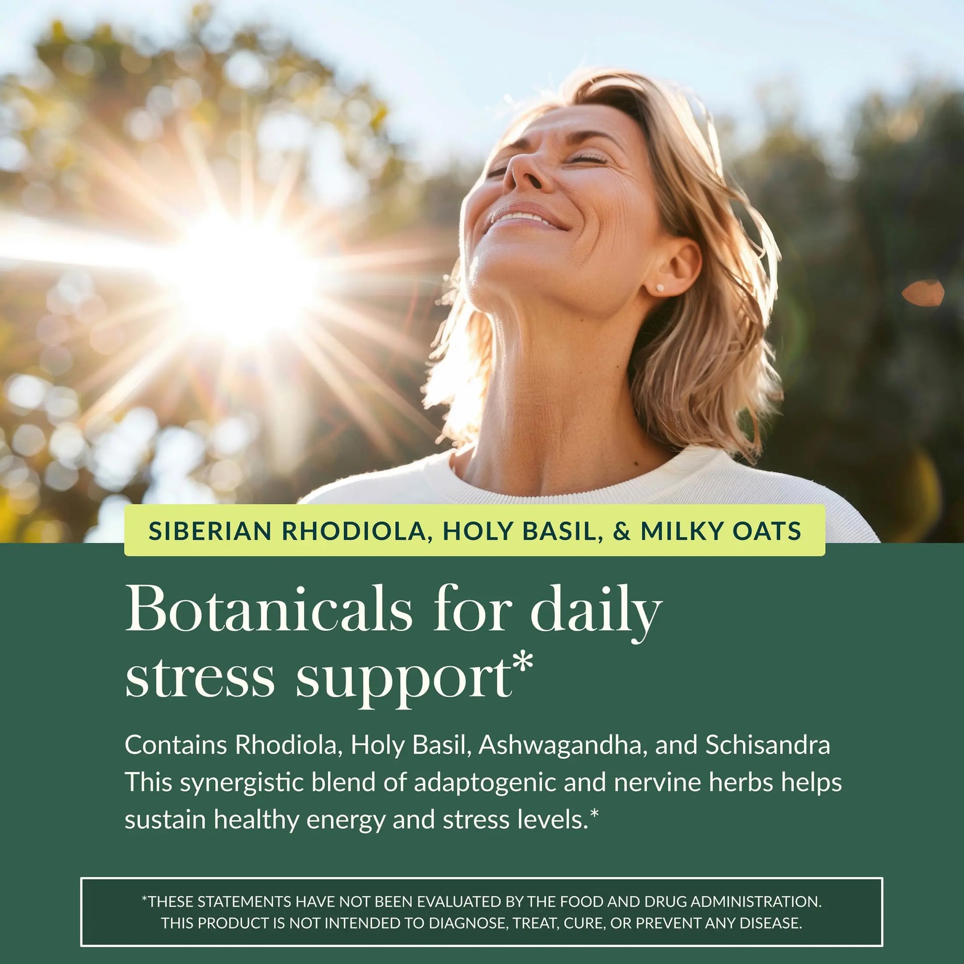 Gaia Herbs Adrenal Health Daily Support, Help Maintain Healthy Energy & Stress Levels*,120 Liquid Phyto-Caps Adrenal Health Nightly Restore, 120 Liquid Phyto-Caps - Bundle Gaia Herbs Au supplements