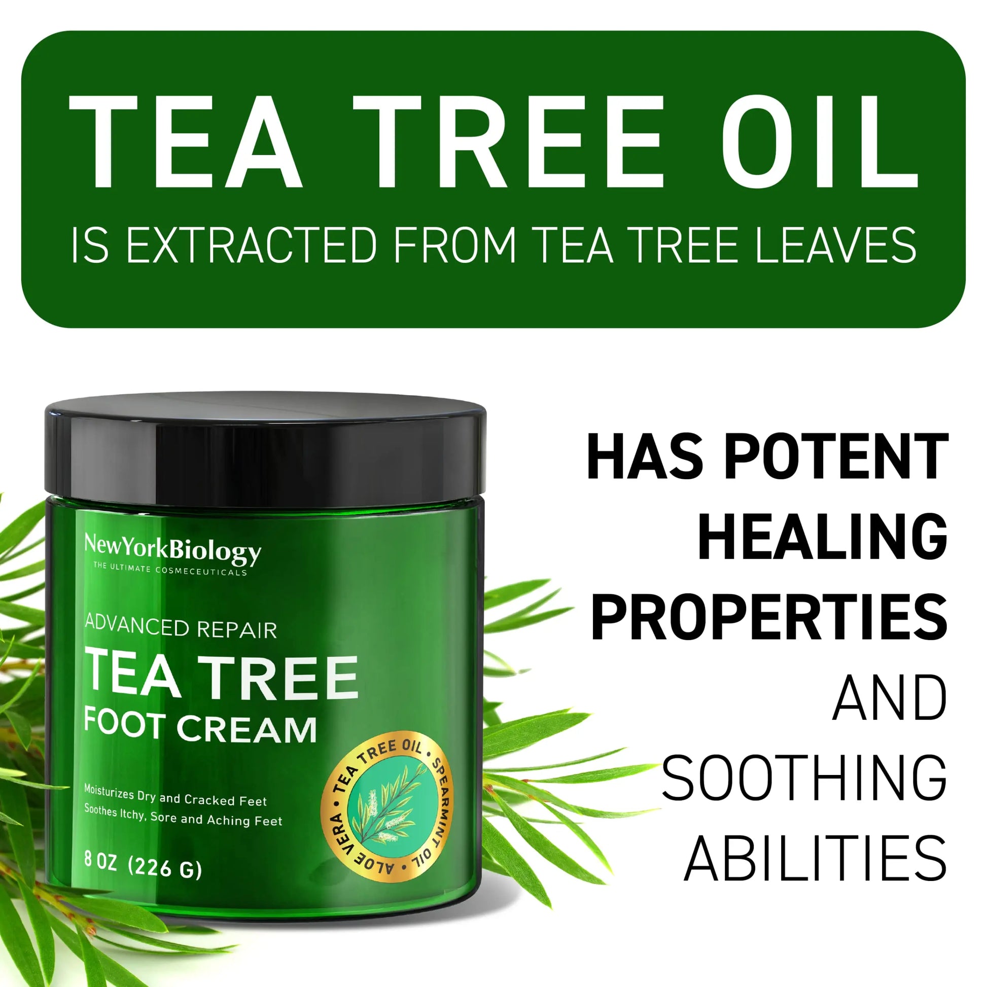 New York Biology Tea Tree Oil Foot Cream for Dry Cracked Feet, Athletes Foot, Nail Fungus NEW YORK BIOLOGY THE ULTIMATE COSMECEUTICALS Au supplements