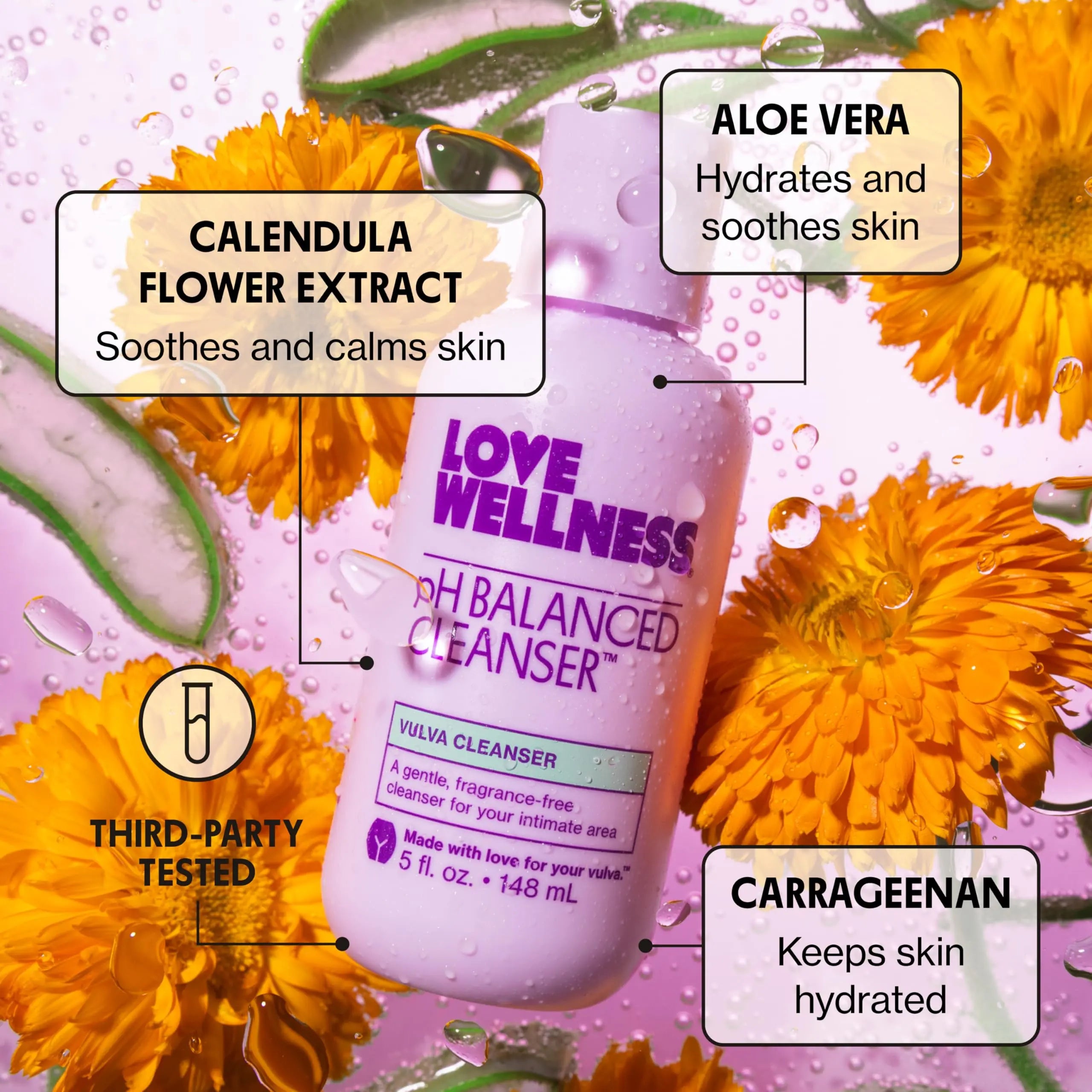 Love Wellness pH Balancing Cleanser | Feminine Vaginal Wash | Fragrance-Free | Vaginal Cleanser for Balanced pH, Intimate Health & Hygiene | Non-Irritating with Aloe Vera for Sensitive Skin | 5 Fl Oz Love Wellness Au supplements