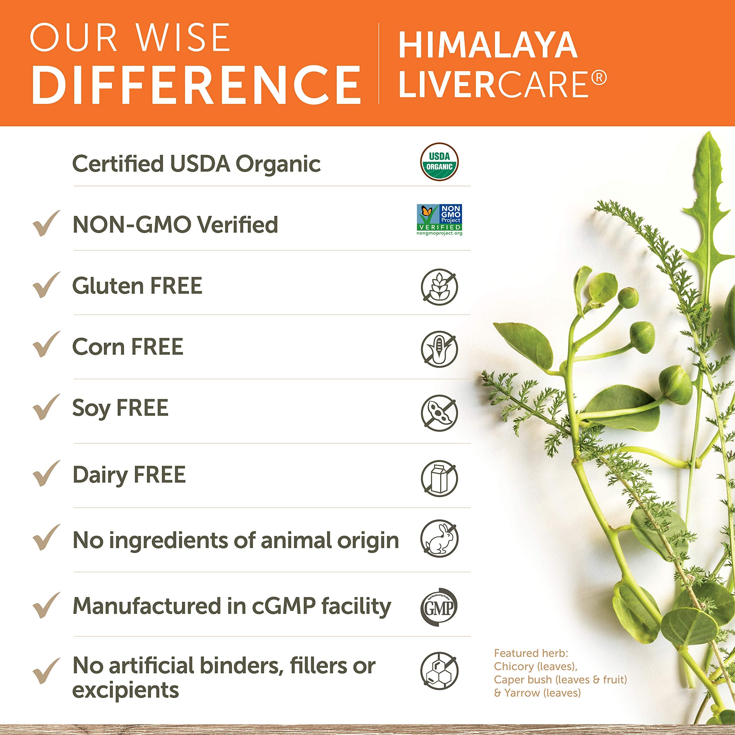 Himalaya LiverCare for Liver Cleanse and Liver Detox, 375 mg, 180 Capsules Himalaya Au supplements