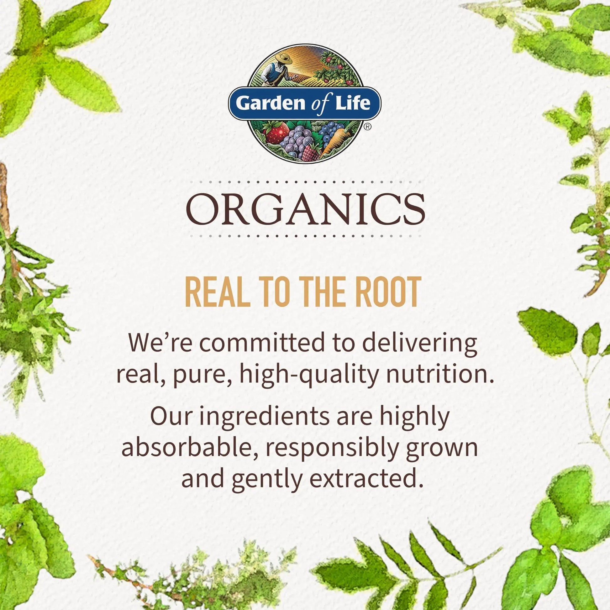 Garden of Life Organics Women’s Prenatal Multivitamin with Vitamin D3, B6, B12, C & Iron, Folate for Energy & Healthy Fetal Development – Organic Garden of Life Au supplements