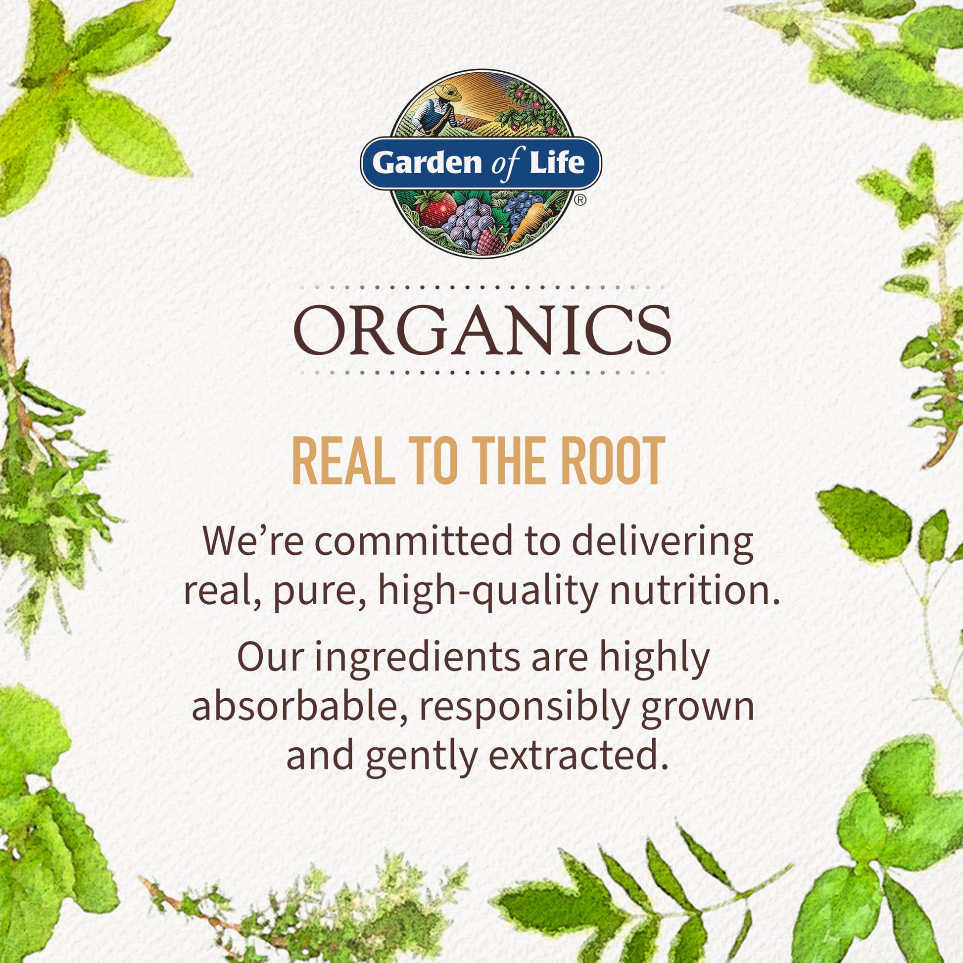 Garden of Life Organics Extra Strength Turmeric Inflammatory Response 120 Tablets-100Mg Curcumin (95% Curcuminoids) Black Pepper, Probiotics, Organic Non-GMO Vegan Gluten Free Herbal Supplement Garden of Life Au supplements