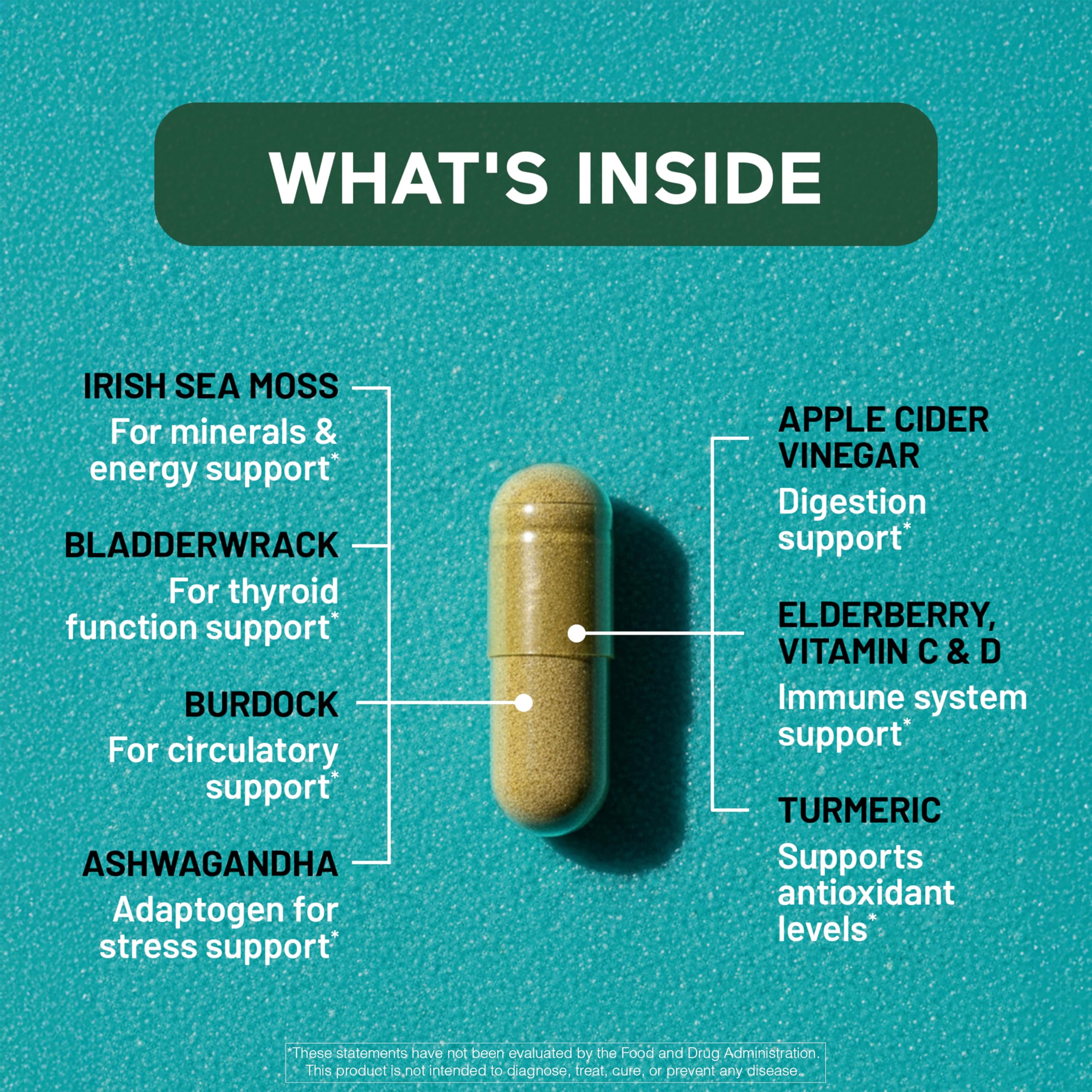 SMARTERNUTRITION Sea Moss Multimineral with Irish Sea Moss with Ashwagandha Bladderwrack Turmeric Zinc Vitamin C Elderberry Dandelion - Non-GMO, USA Manufactured - 60 Capsules[30 Day Supply] SMARTERNUTRITION Au supplements