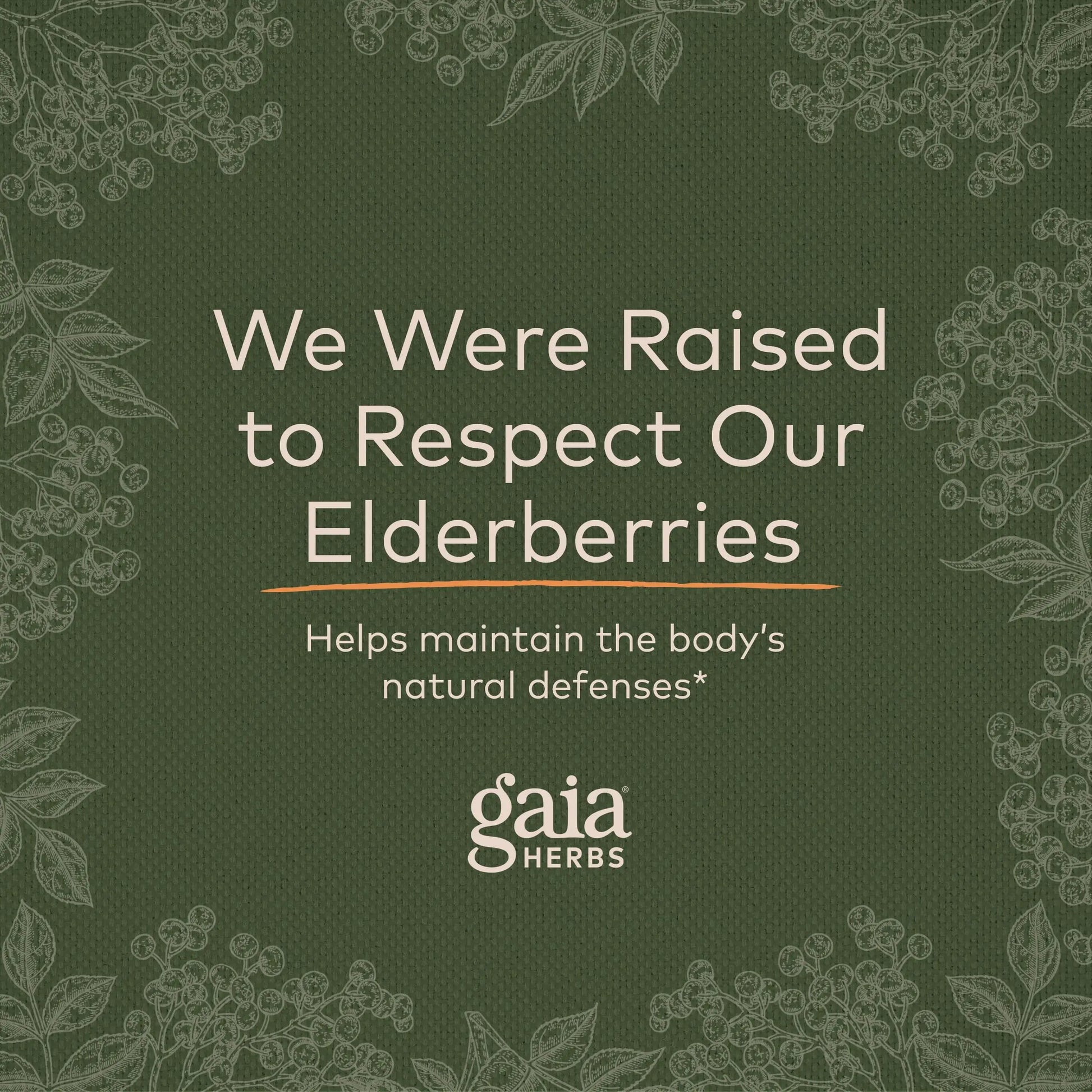 Gaia Herbs Black Elderberry (Sambucus Nigra) Extra Strength Gummies Gaia Herbs Au supplements