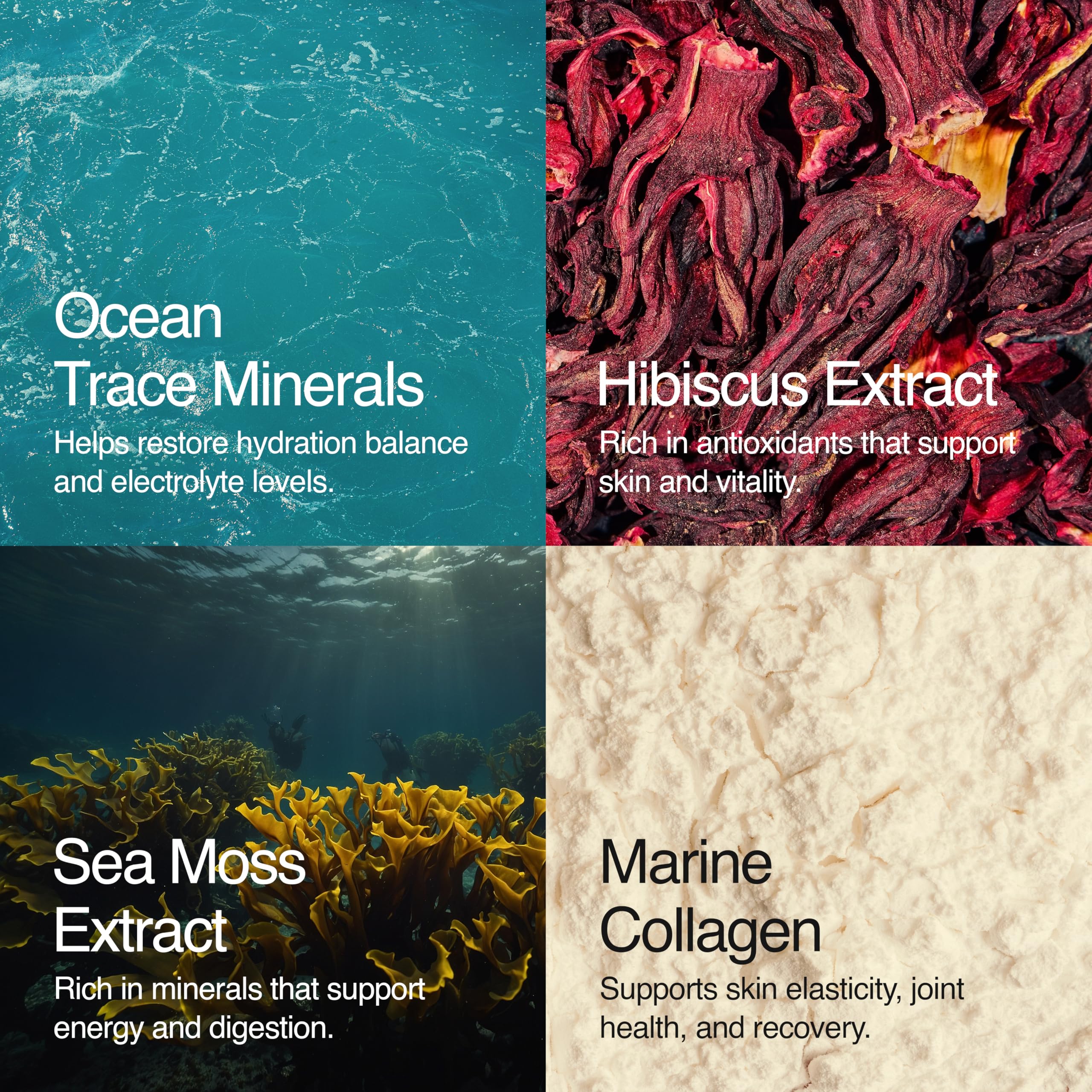 Sea Bloom Labs Marine Collagen Powder Stick Packs with Sea Moss Powder and Electrolytes, Hydration and Beauty Blend - Mango (8-Pack) Sea Bloom Labs Au supplements
