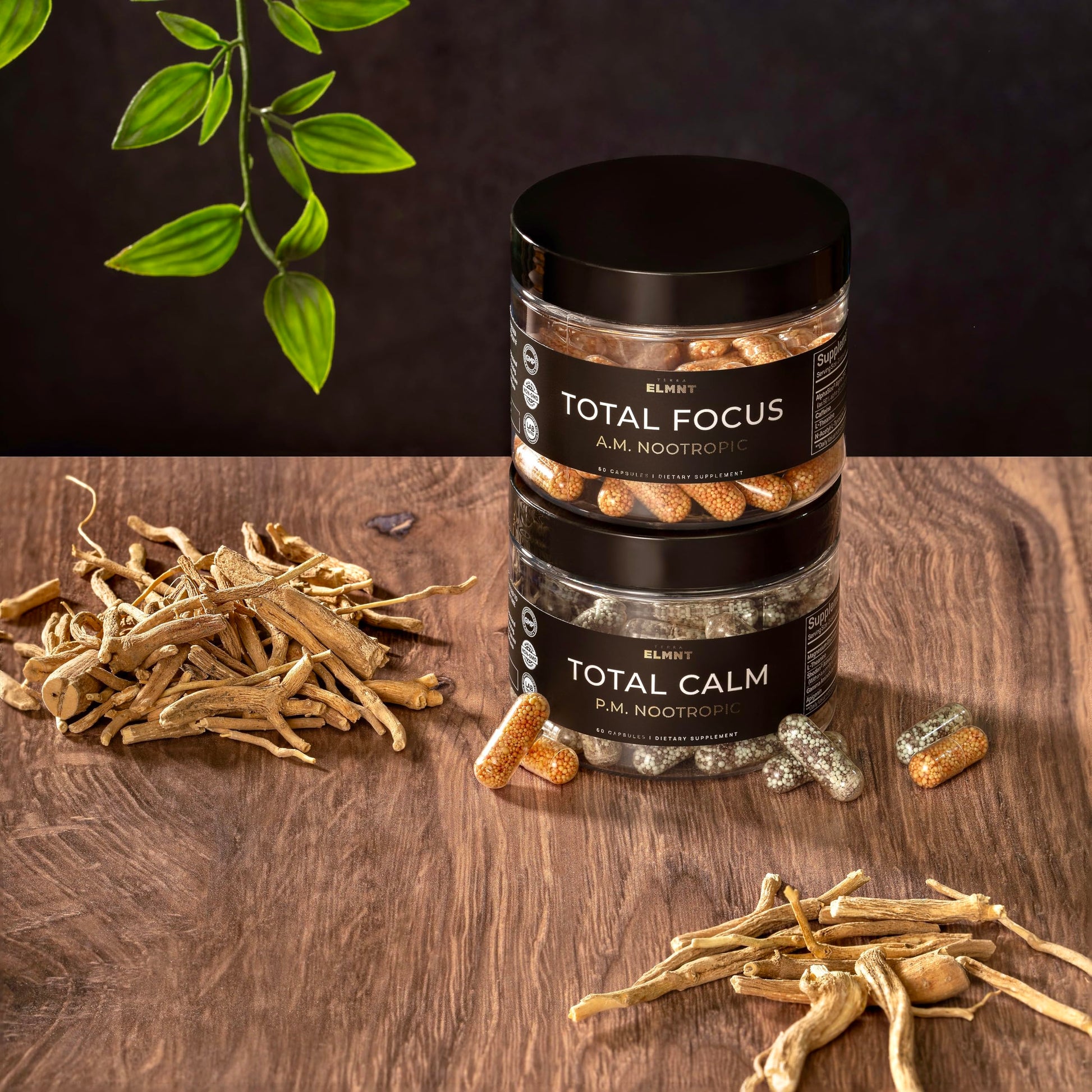 AMPM Nootropic Total Focus + Calm 9X Strength w. Caffeine, L-Theanine, Alpha GPC, L-Tyrosine, Ashwagandha - X-Release Energy Pills Nootropics Brain Support Supplements for Memory and Focus Supplement TERRA ELMNT Au supplements