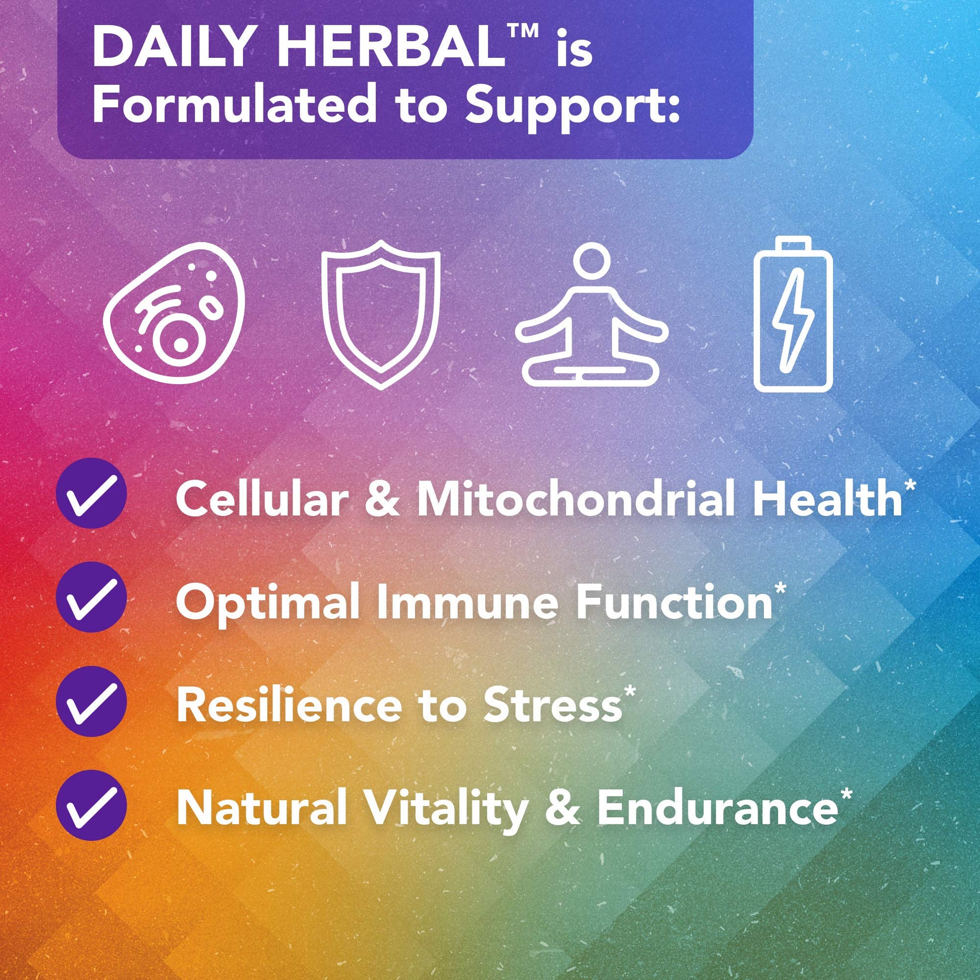 Vital Plan Daily Herbal Supplement by Dr. Bill Rawls – Herbal Immunity Booster for Immune Support, Microbiome Balance & Cell Health — Reishi Mushroom, Turmeric & Rhodiola Vital Plan Au supplements