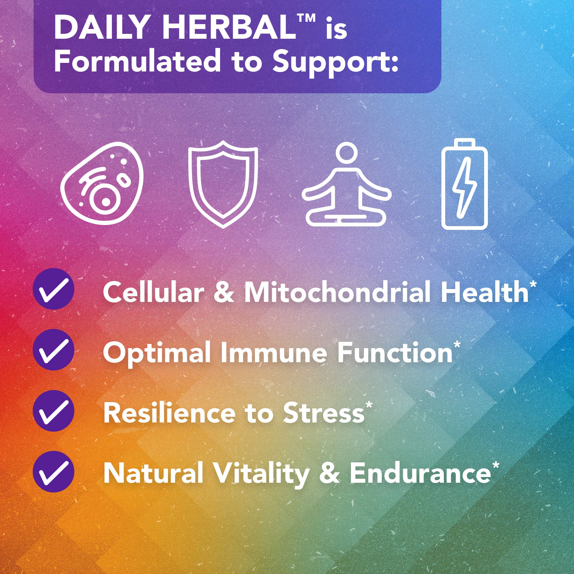 Vital Plan Daily Herbal Supplement by Dr. Bill Rawls – Herbal Immunity Booster for Immune Support, Microbiome Balance & Cell Health — Reishi Mushroom, Turmeric & Rhodiola Vital Plan Au supplements