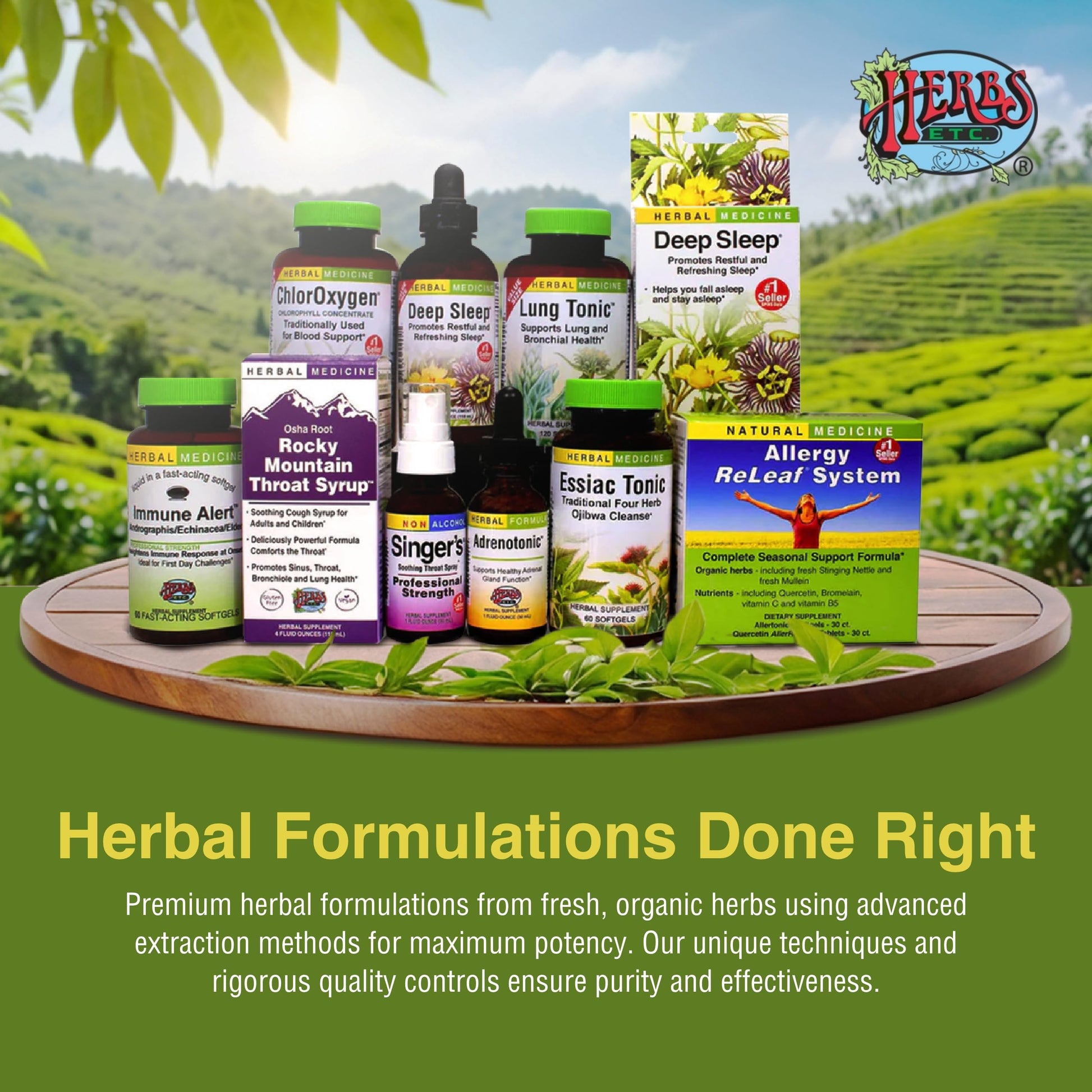 Herbs Etc. Phytocillin - Respiratory & Digestive Health Support Supplement - Herbal Formula to Support Digestion - Support Healthy Breathing - 60 Softgels (60 Servings) Herbs Etc. Au supplements