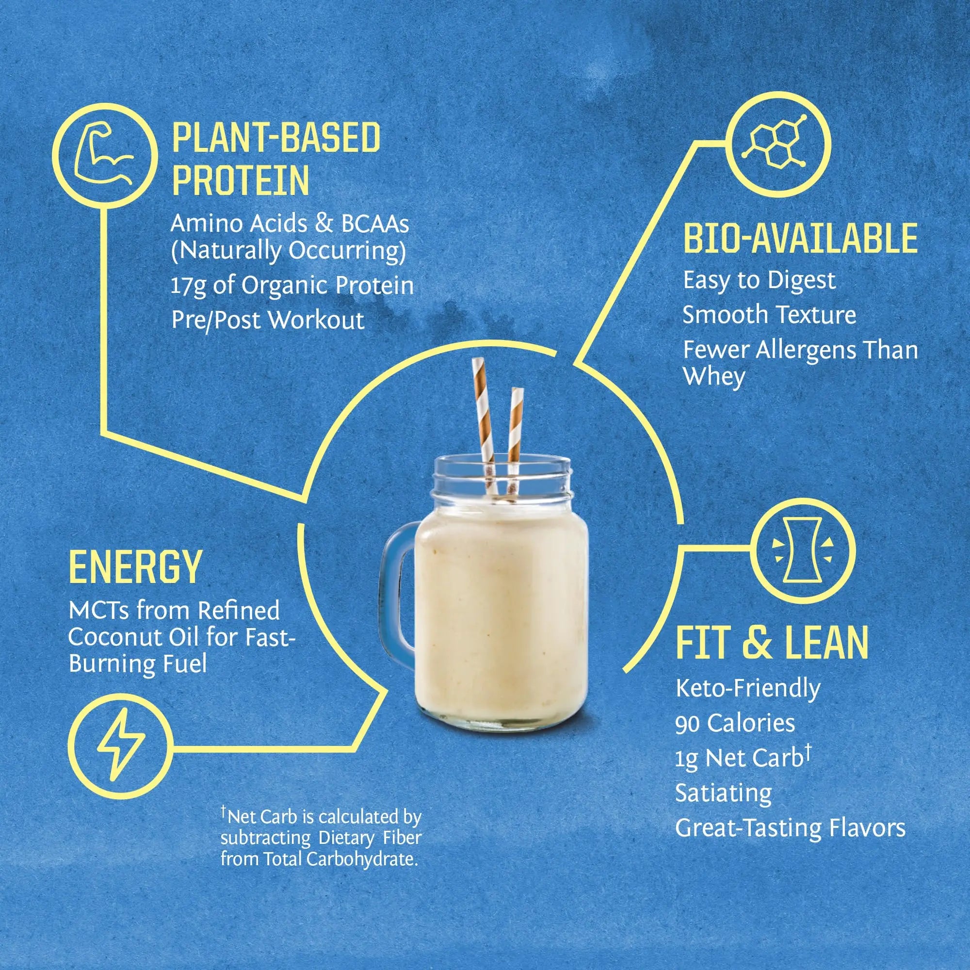 Sunwarrior Vegan Protein Powder Organic Plant-Based Protein | BCAA Amino Acids Hemp Seed Plant Protein | Soy Free Dairy Free Gluten Free Synthetic Free Non-GMO Sunwarrior Au supplements