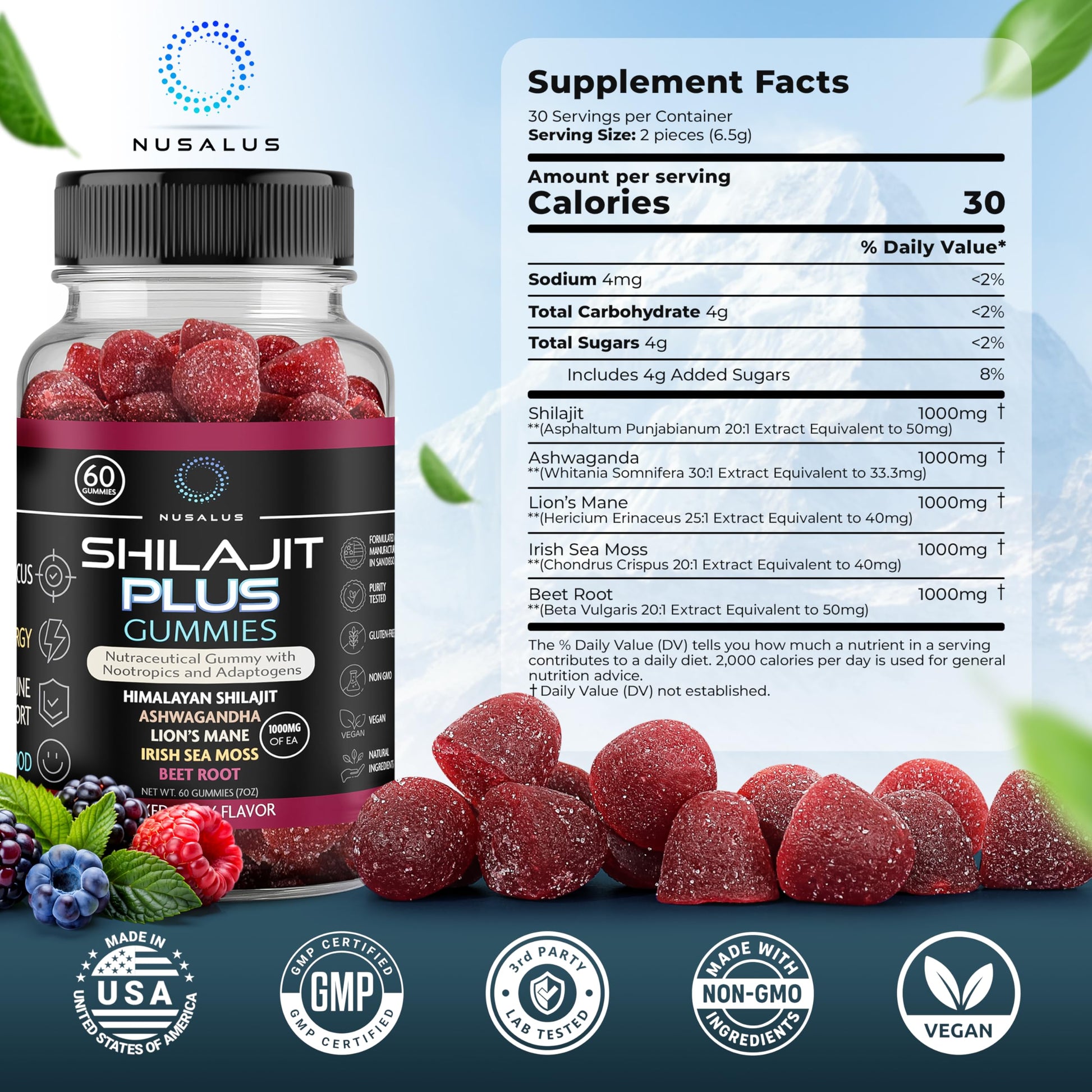 Nusalus Shilajit Plus Gummies – 5-in-1 Adaptogen Energy & Focus Supplement | Shilajit, Ashwagandha, Lion’s Mane, Sea Moss & Beet Root | Natural Energy & Stress Support | Made in USA, Vegan, 60ct Nusalus Au supplements