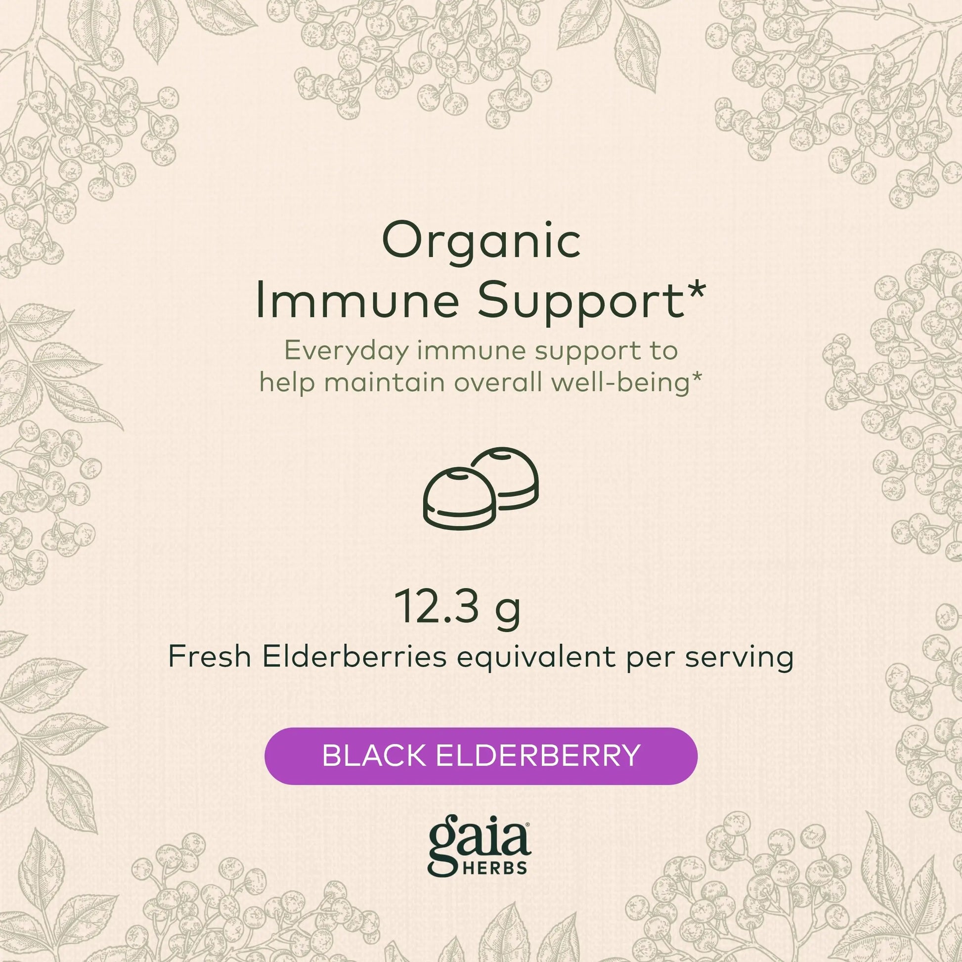 Gaia Herbs Black Elderberry (Sambucus Nigra) Extra Strength Gummies Gaia Herbs Au supplements
