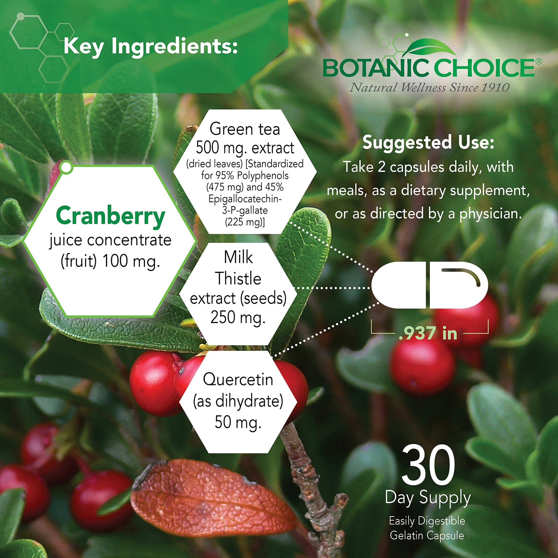 Botanic Choice Ultra Kidney Complex - Optimal Kidney Support with Milk Thistle, Green Tea & More- 60 Capsules Botanic Choice Au supplements