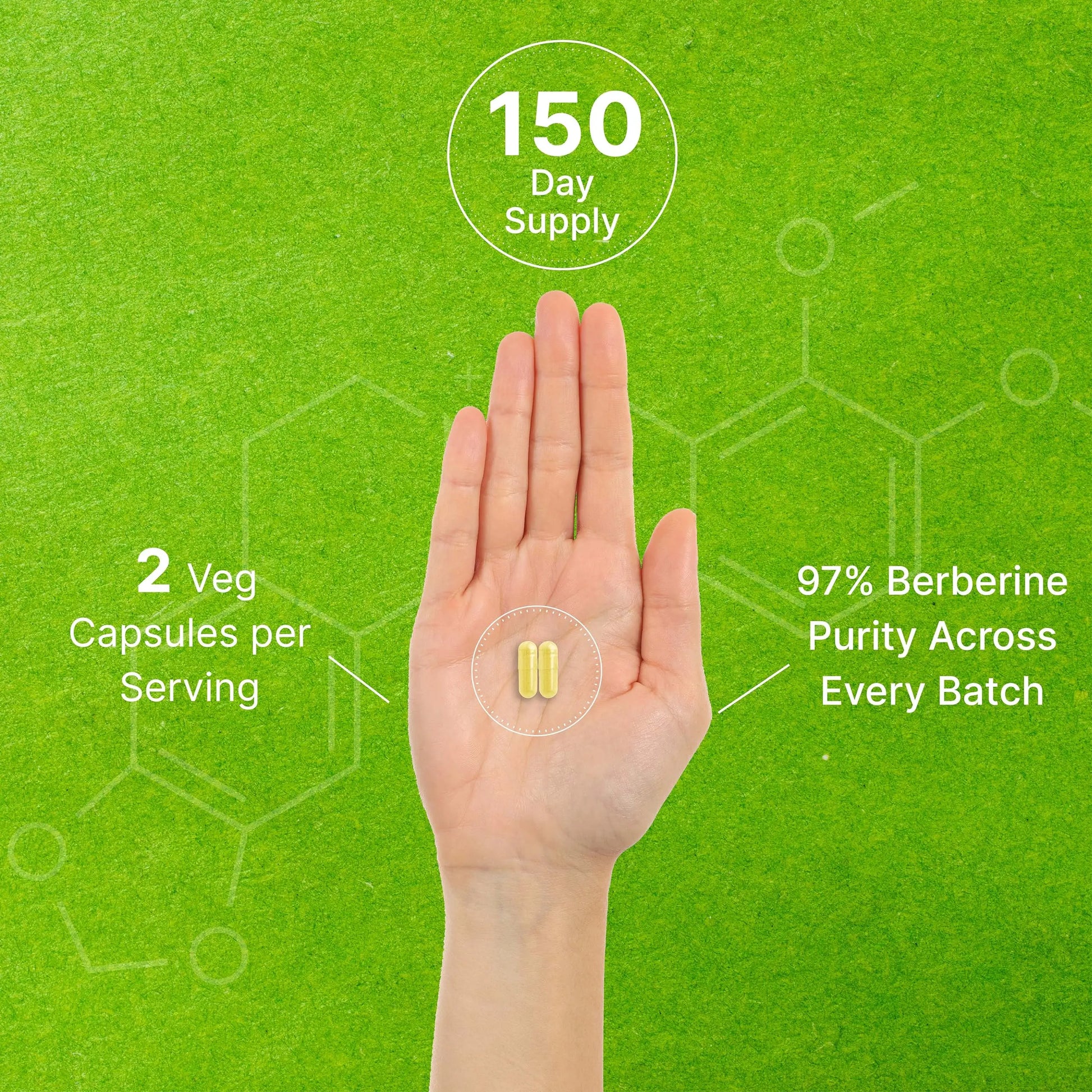 Berberine Supplement, 1,000mg Per Serving, 300 Veggie Capsules – 97% Pure Berberine DEAL SUPPLEMENT Au supplements